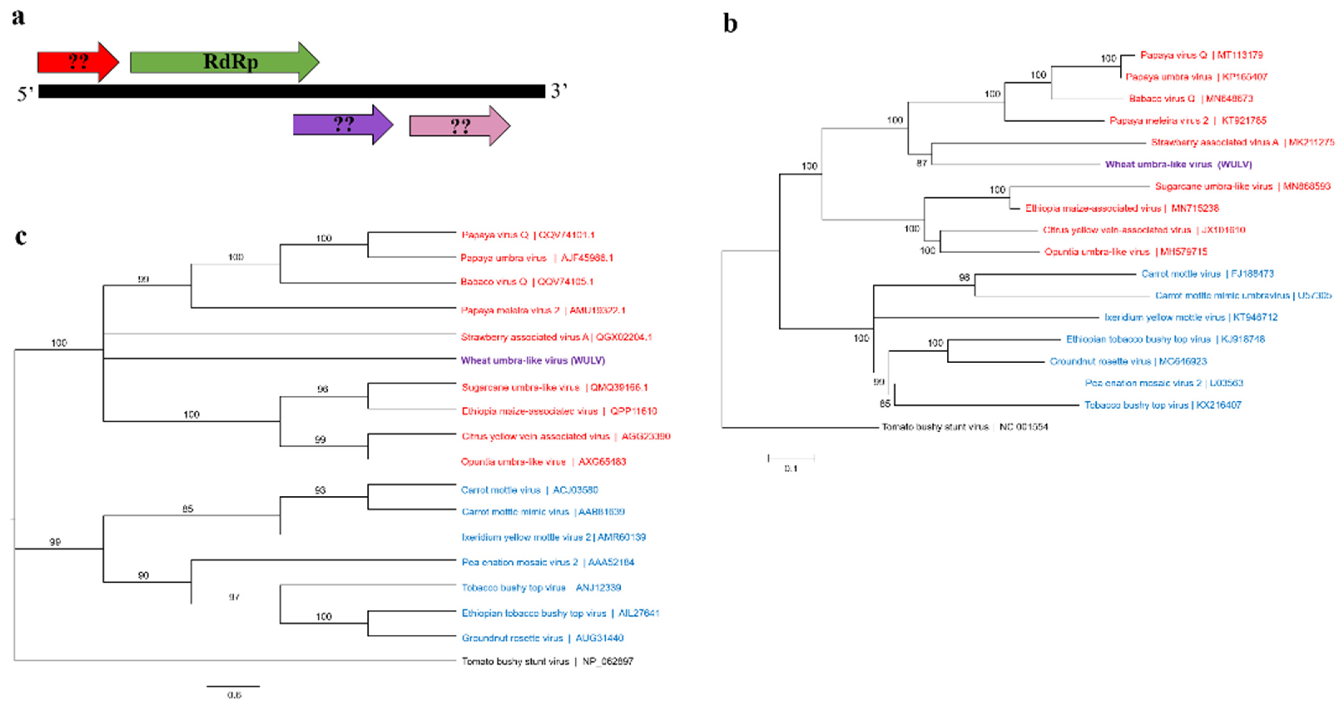 Viruses 13 02457 g002
