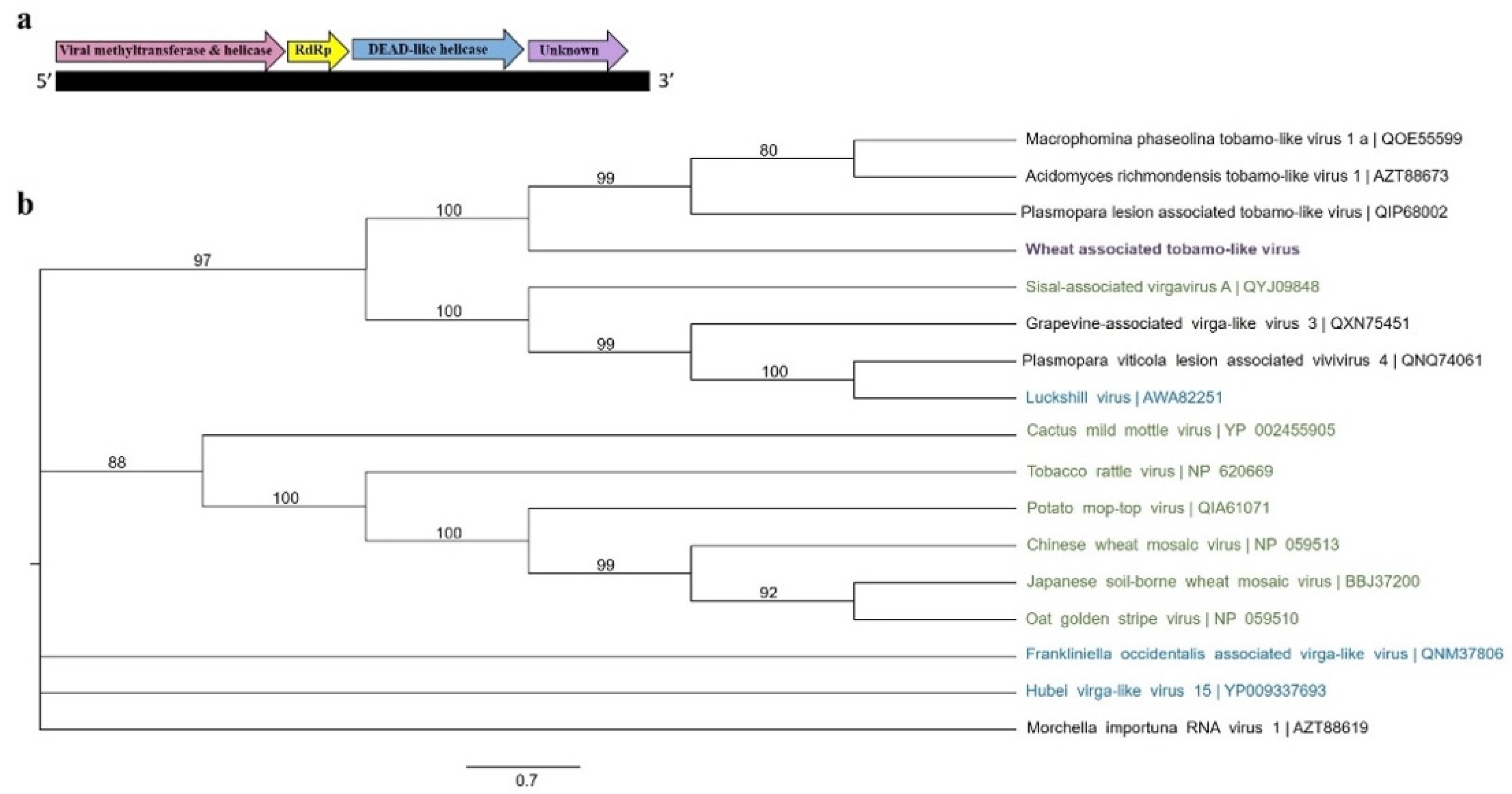 Viruses 13 02457 g004