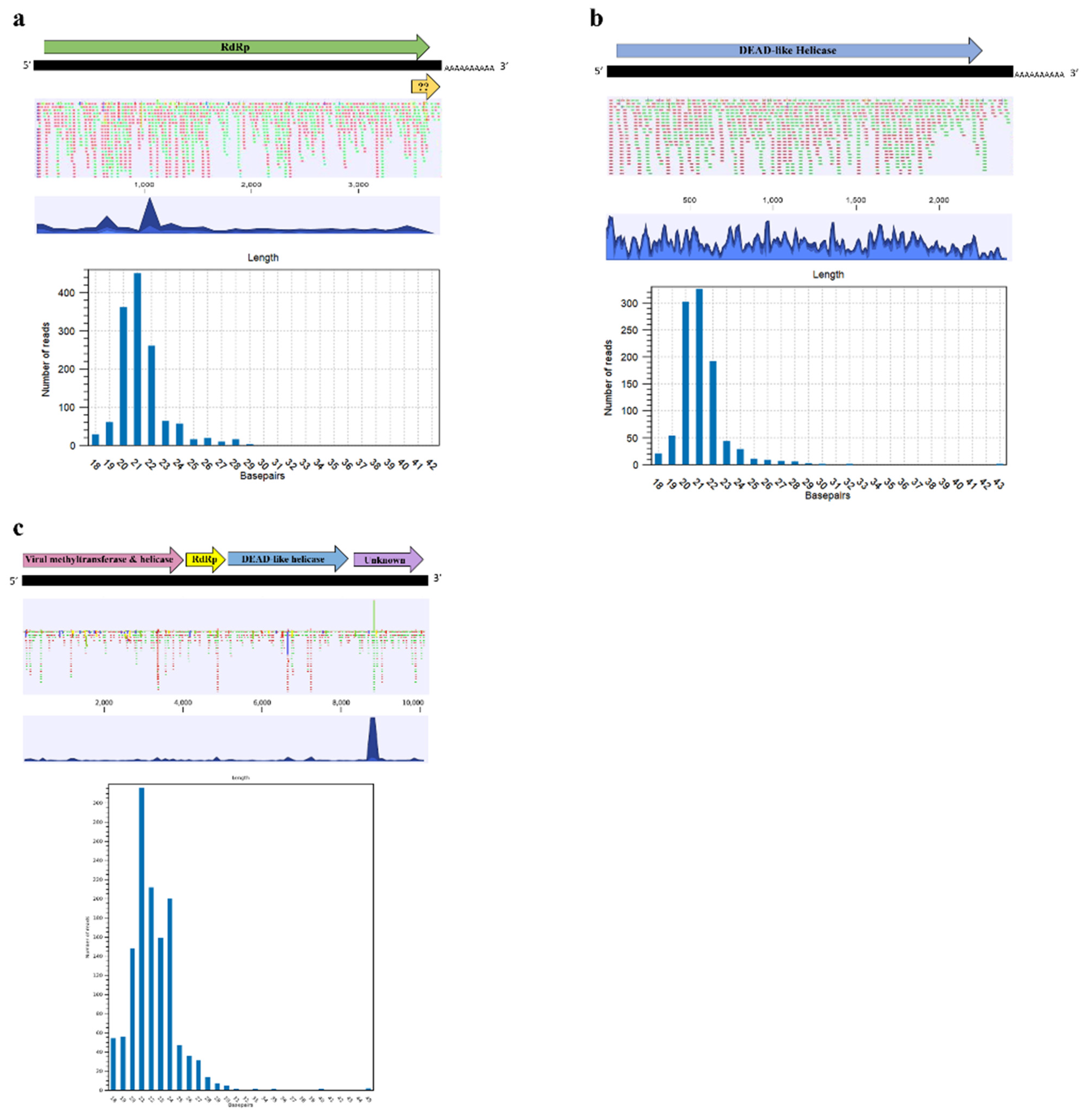 Viruses 13 02457 g006