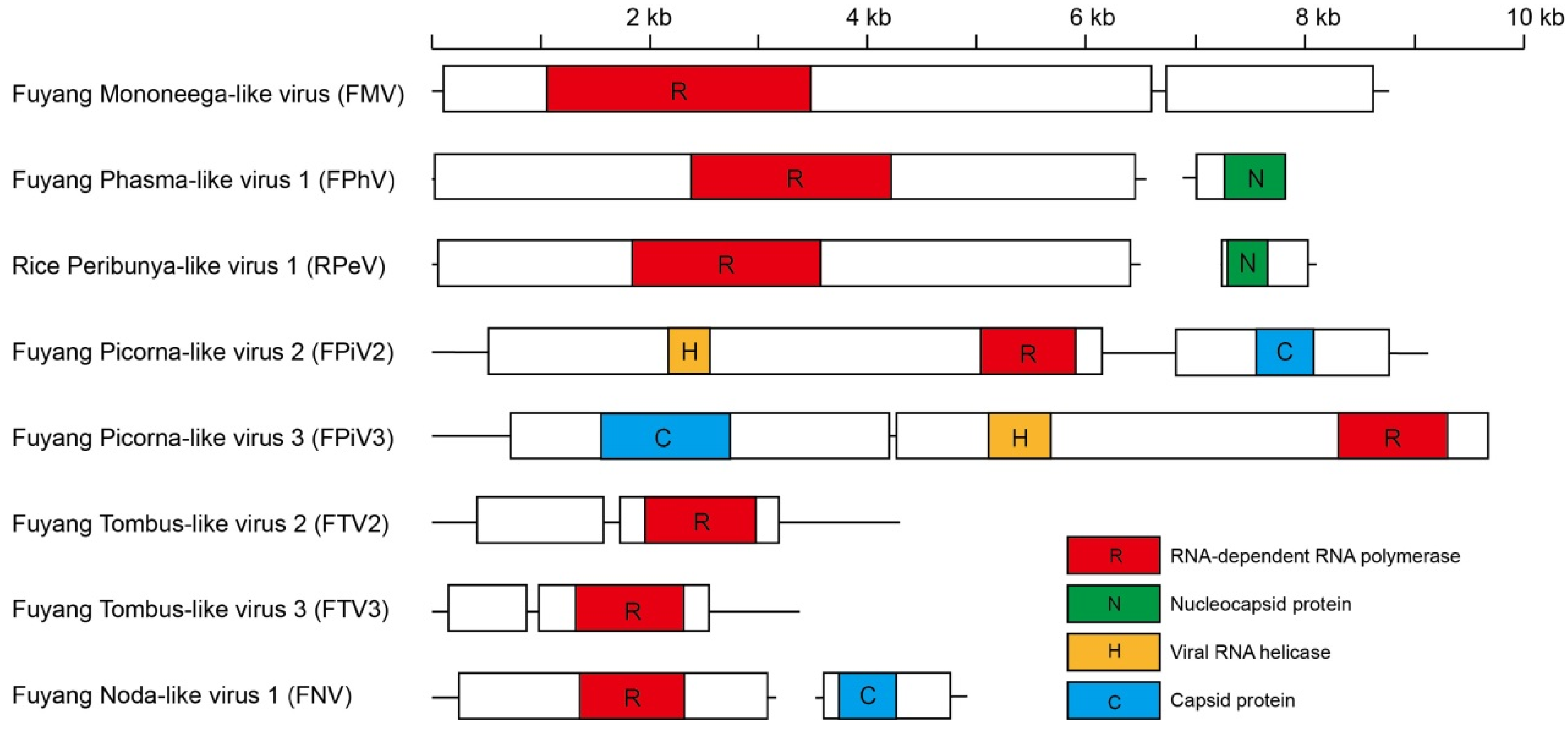Viruses 13 02464 g002 550