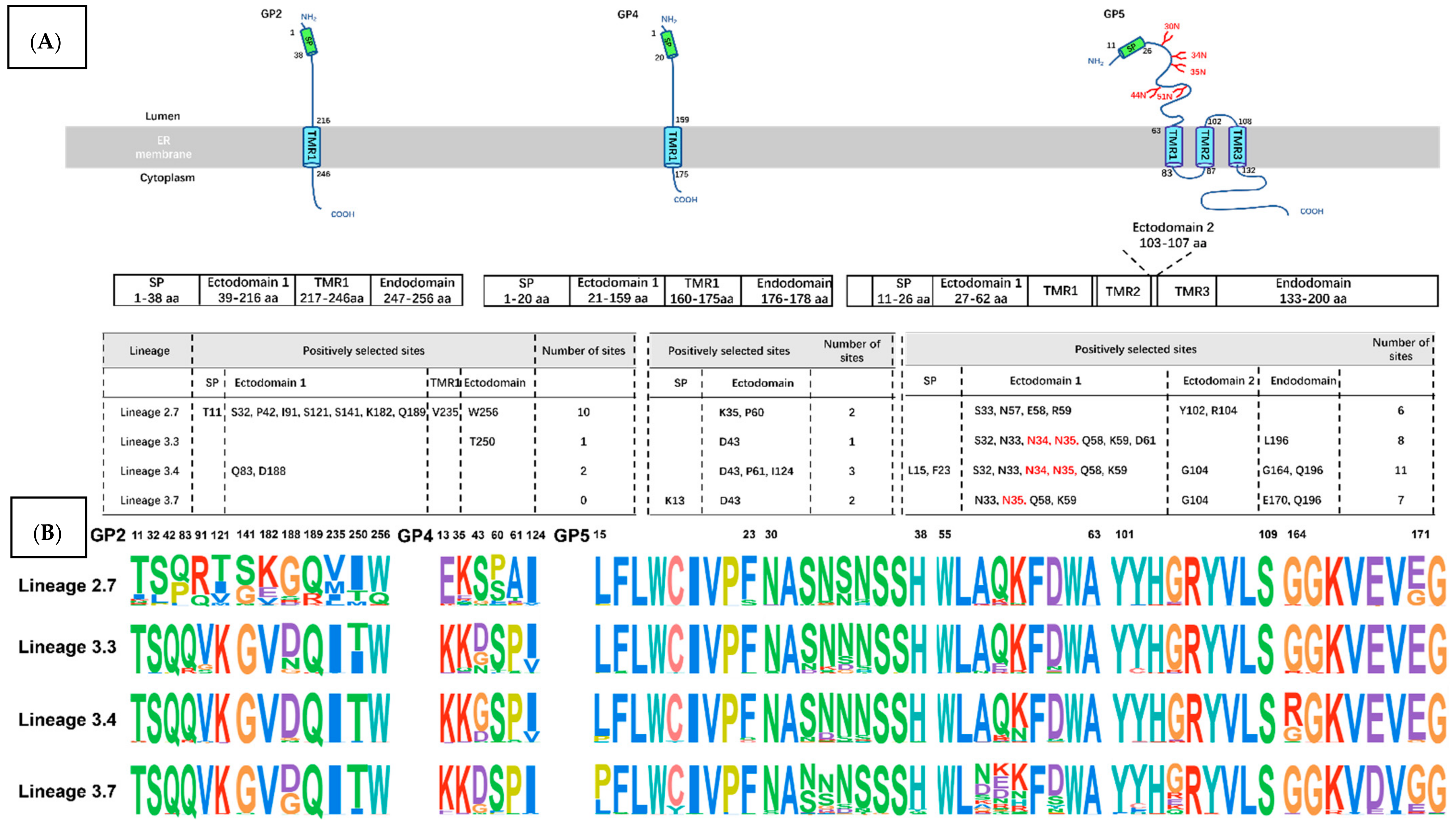 Viruses 13 02469 g004