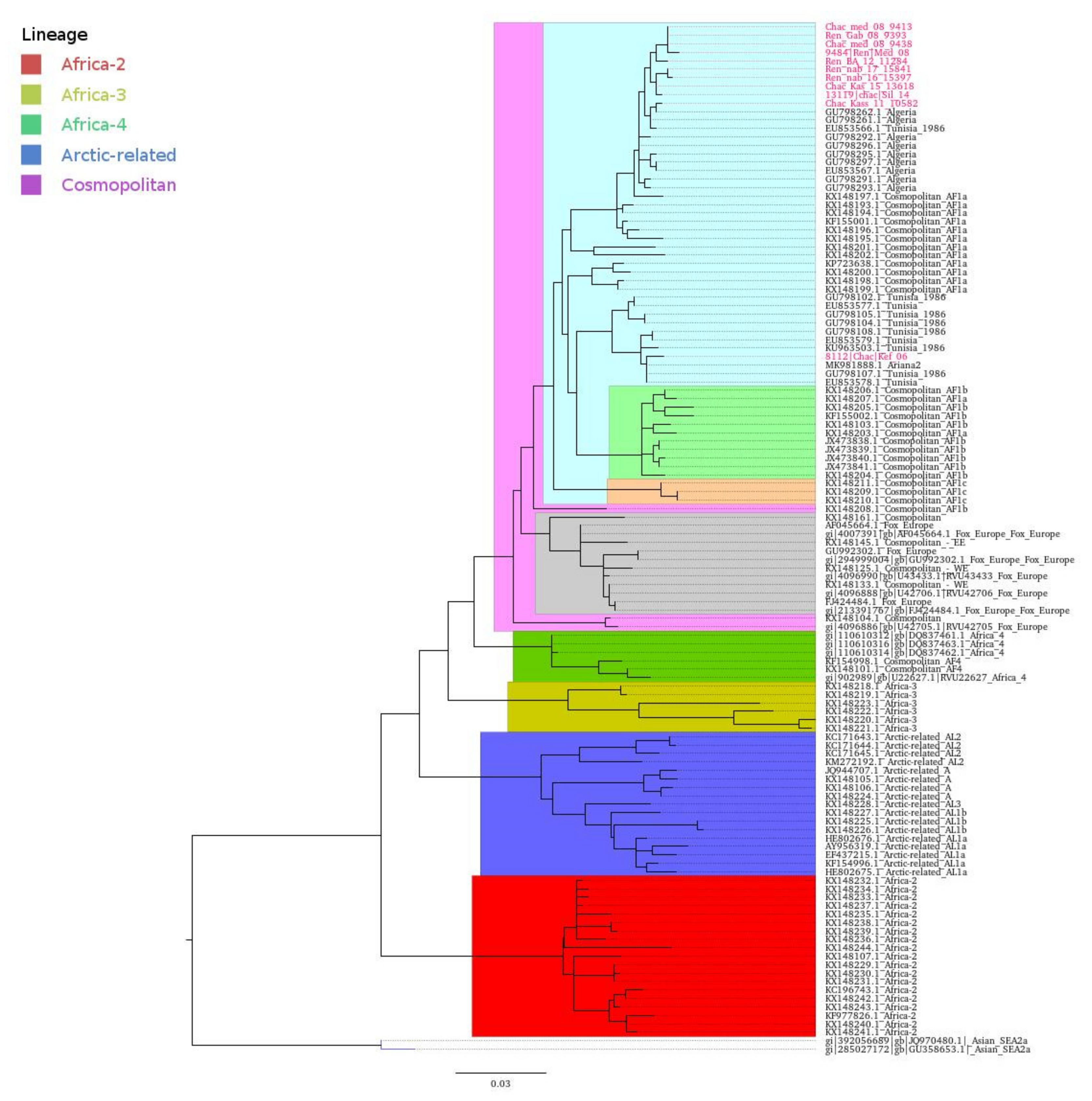 Viruses 13 02473 g001 550