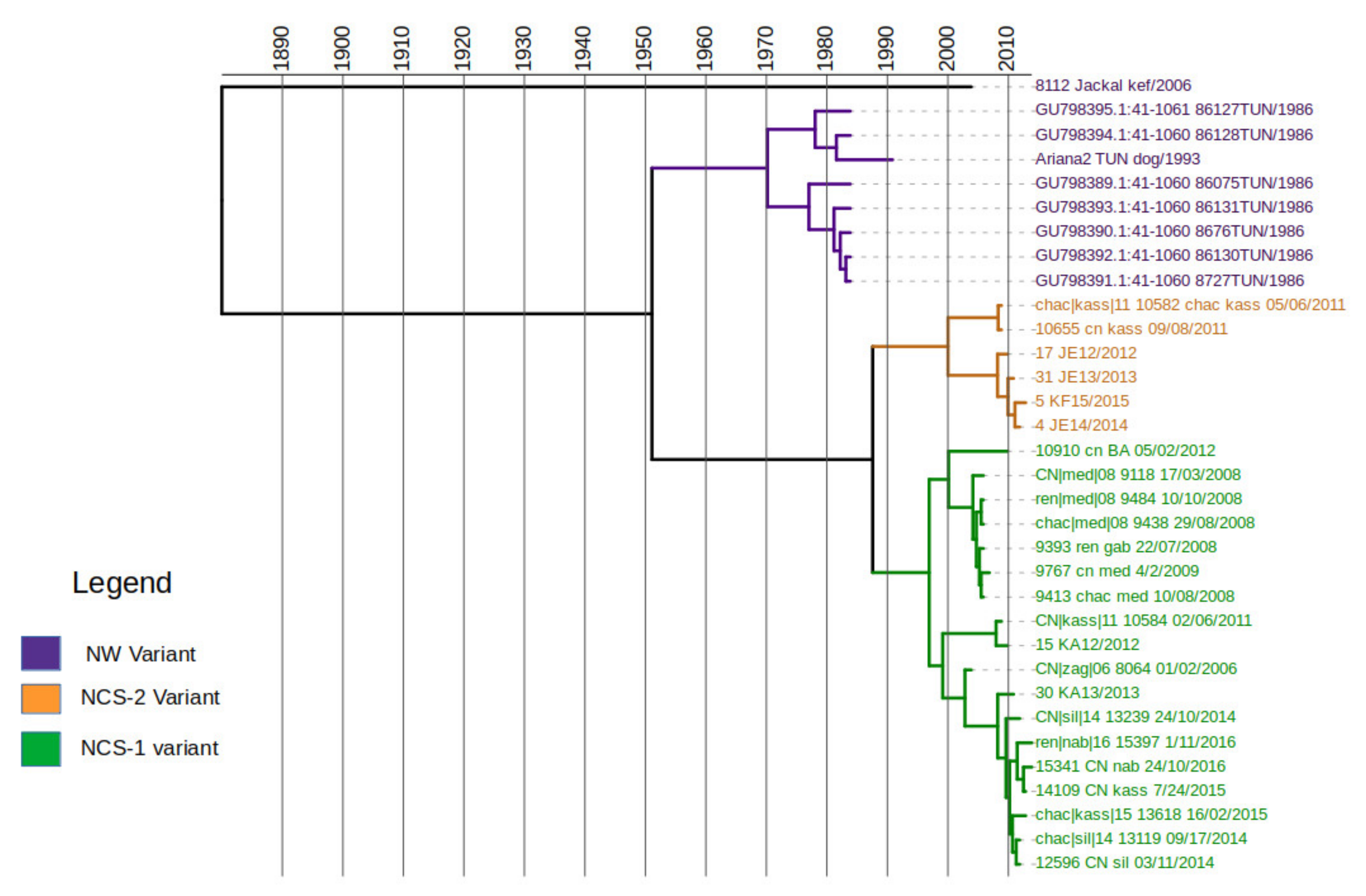 Viruses 13 02473 g005 550