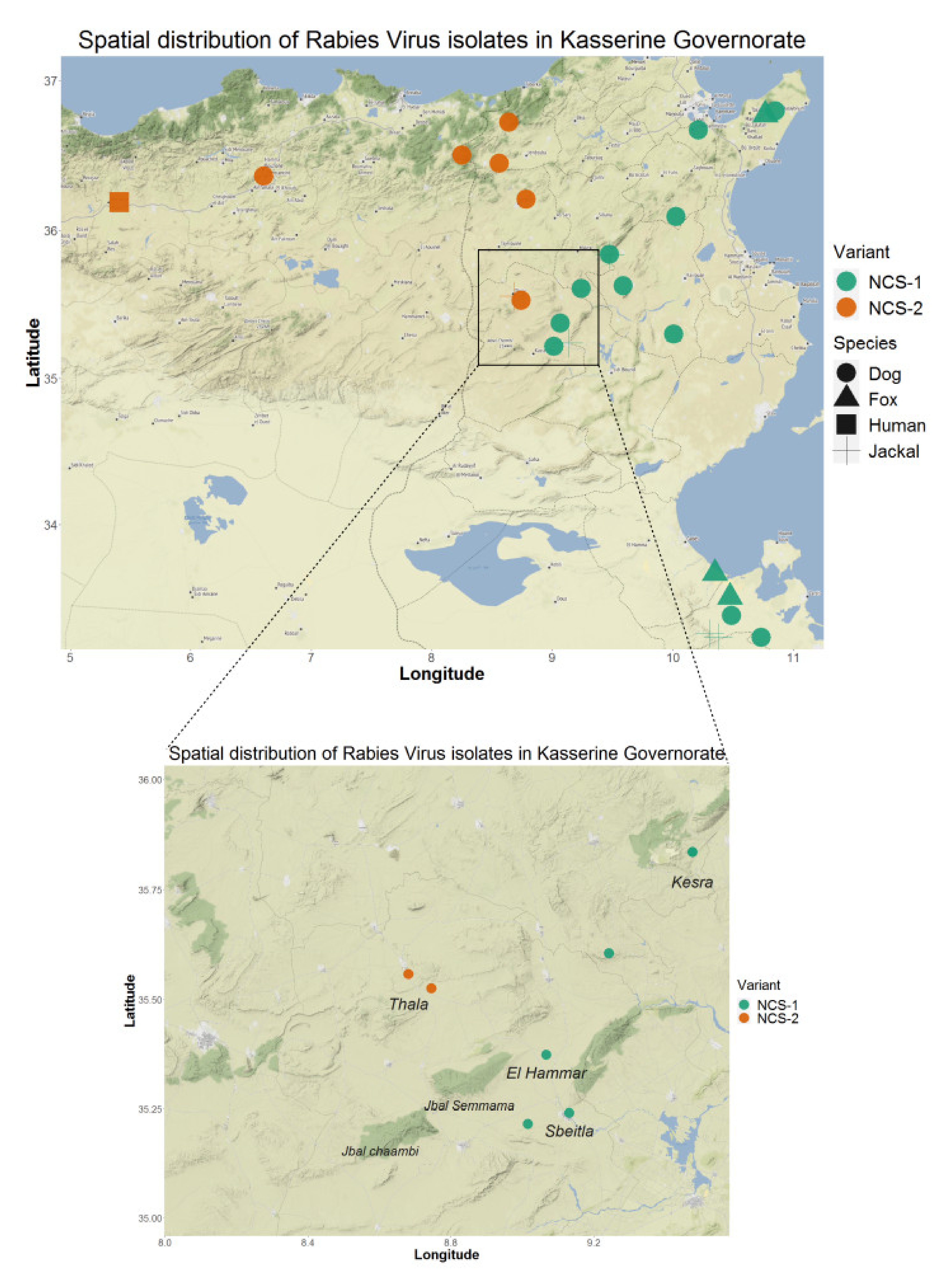 Viruses 13 02473 g006 550