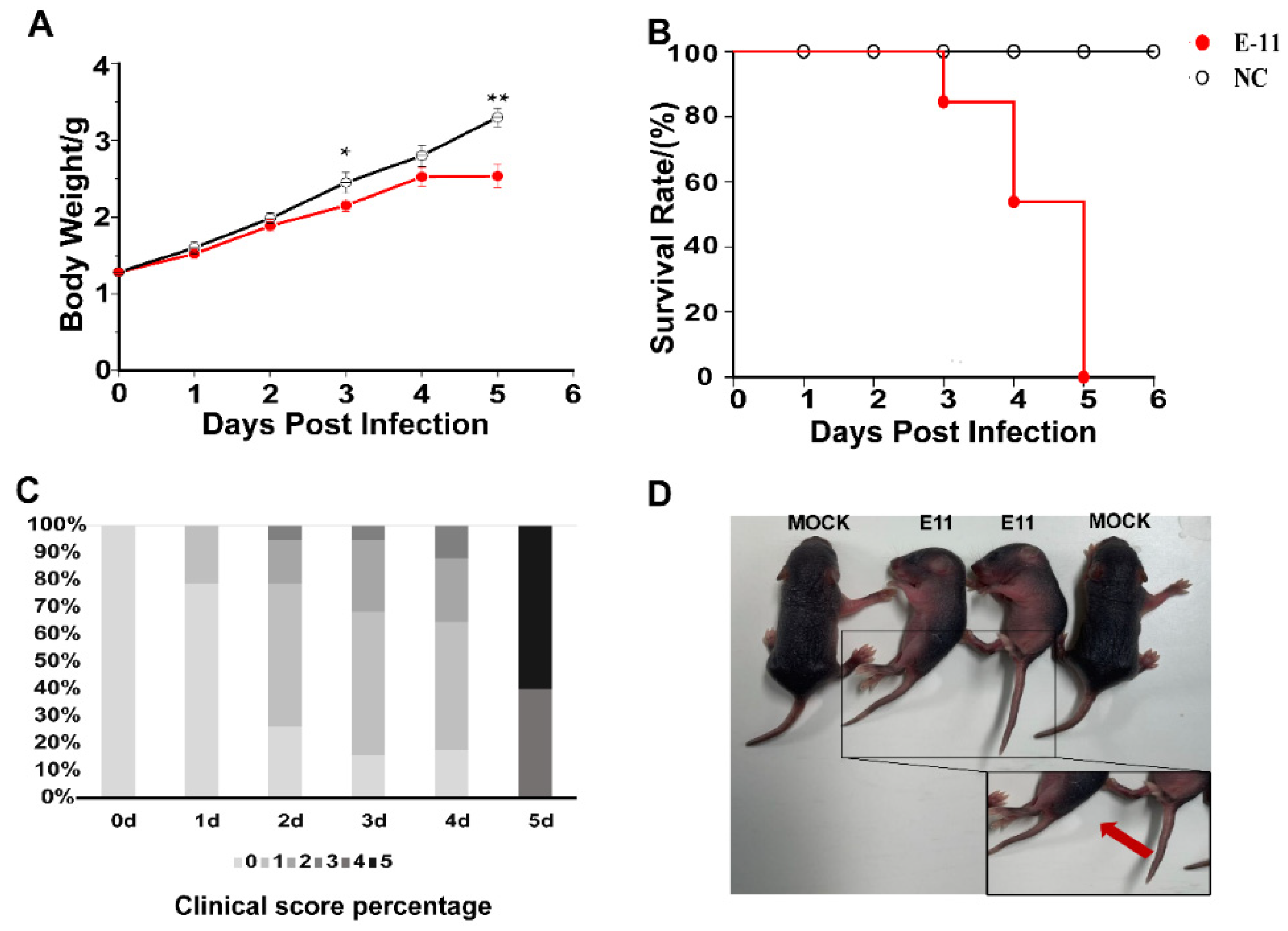 Viruses 13 02477 g001
