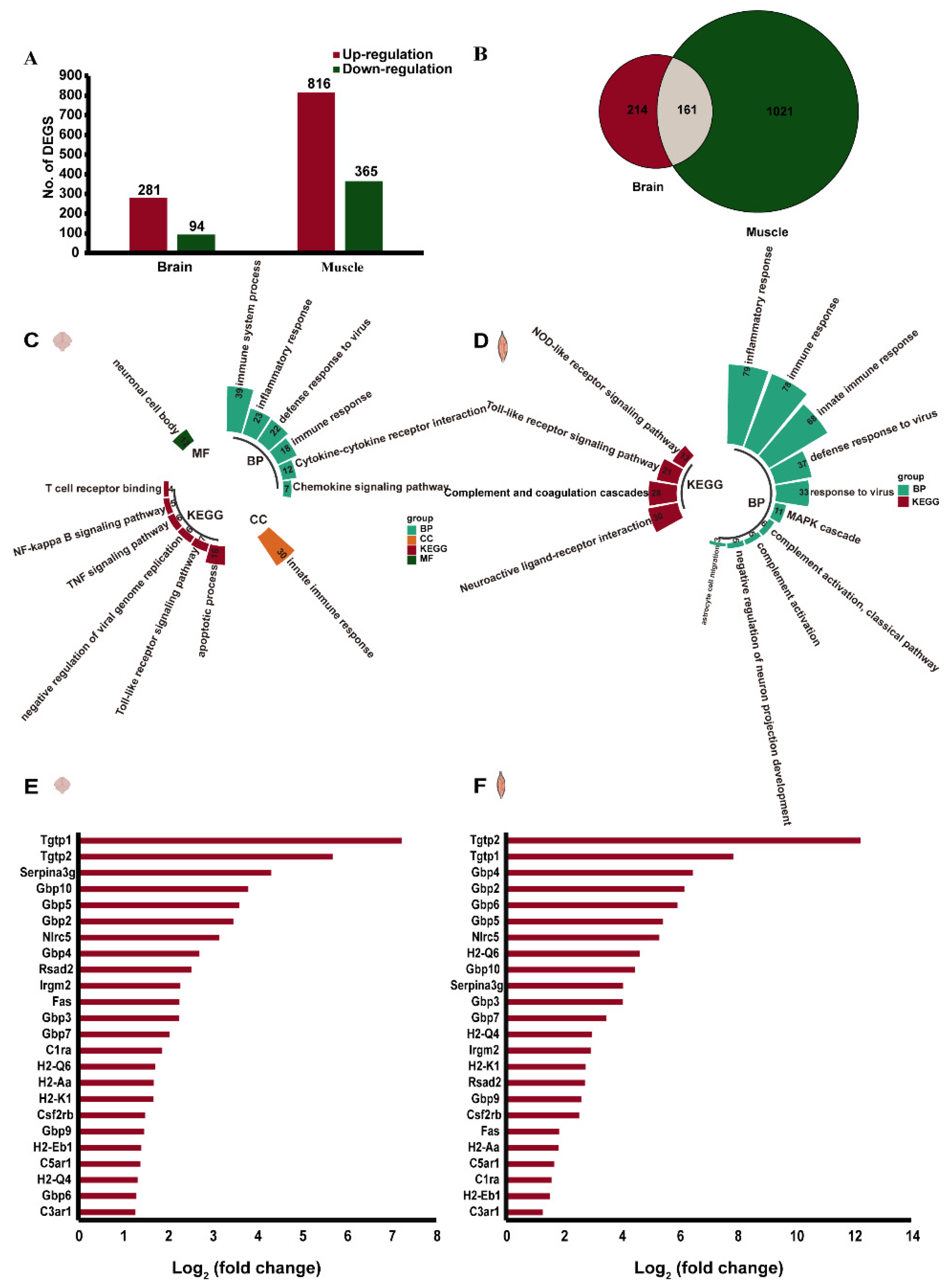 Viruses 13 02477 g004