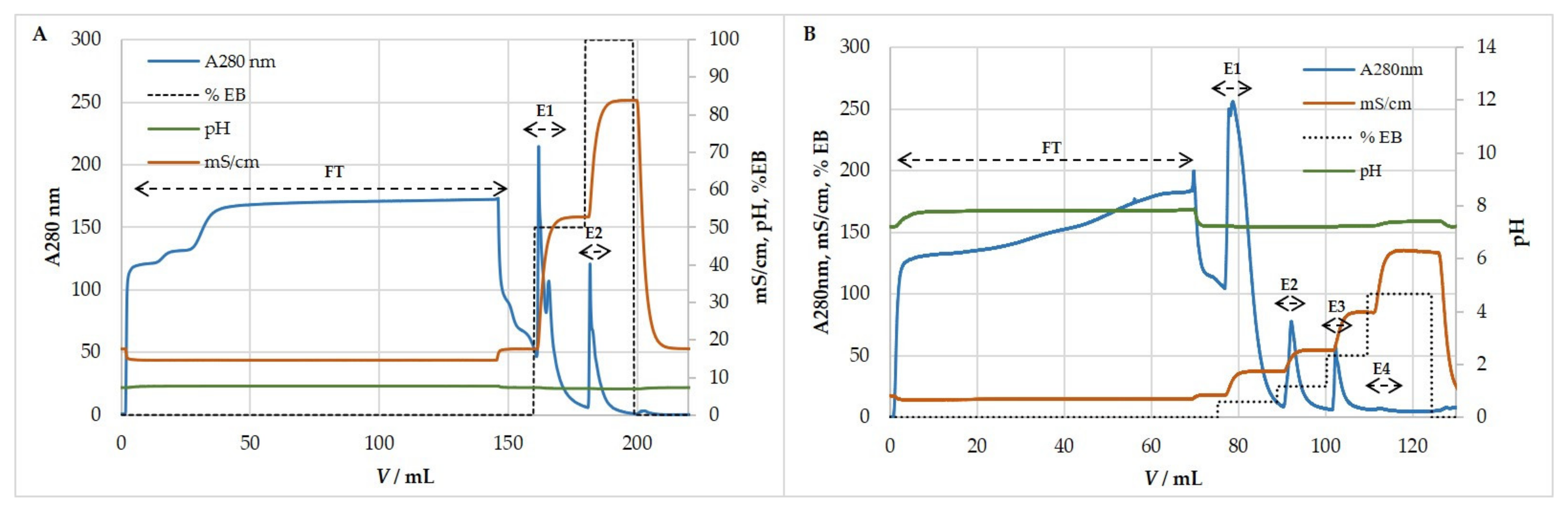 Viruses 13 02481 g005 Viruses 13 02481 g005