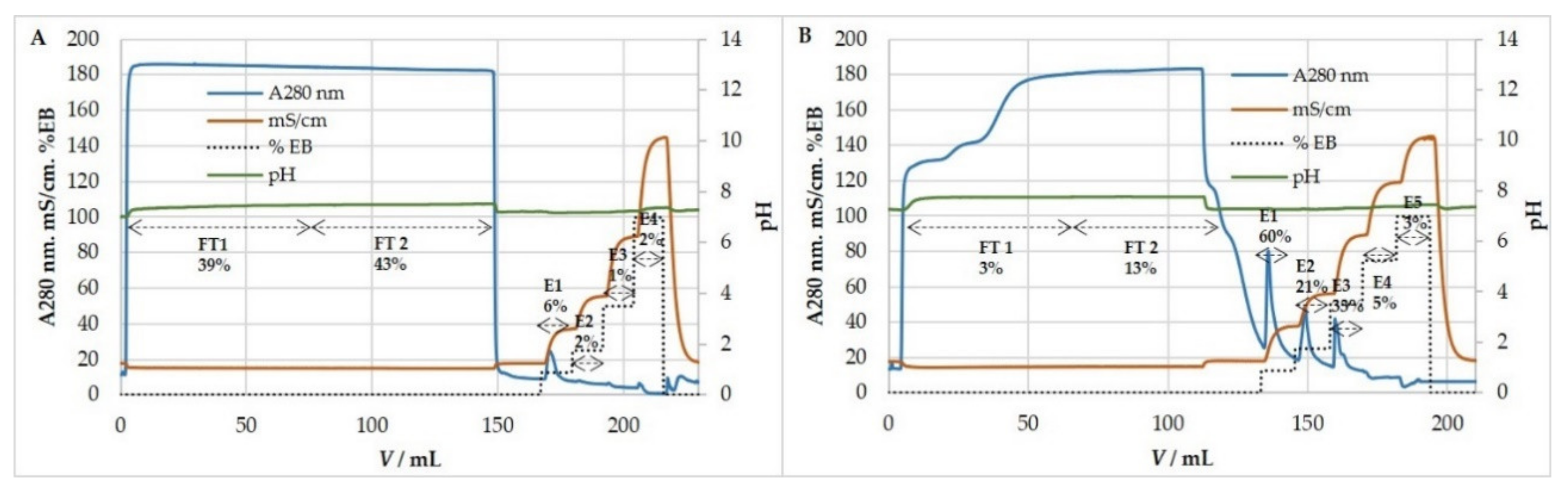 Viruses 13 02481 g007 Viruses 13 02481 g007