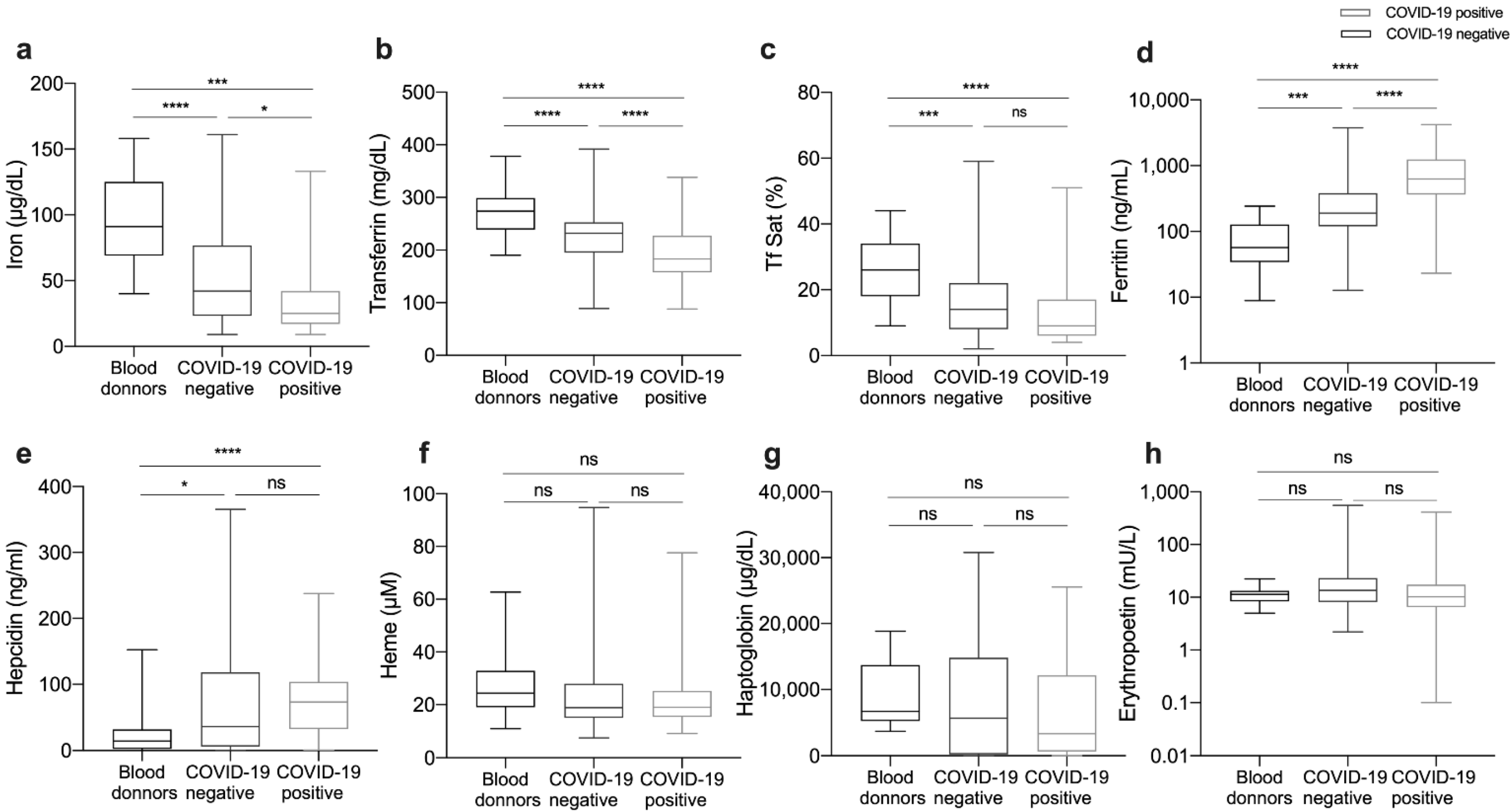 Viruses 13 02482 g001