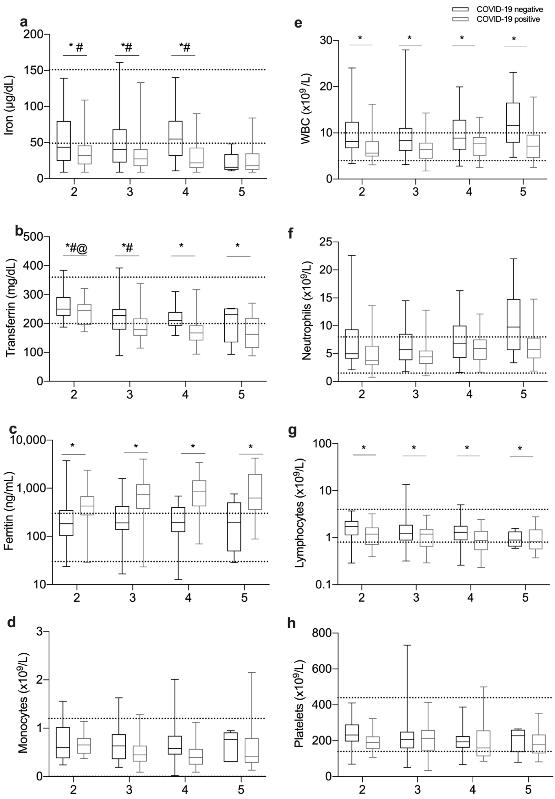 Viruses 13 02482 g002