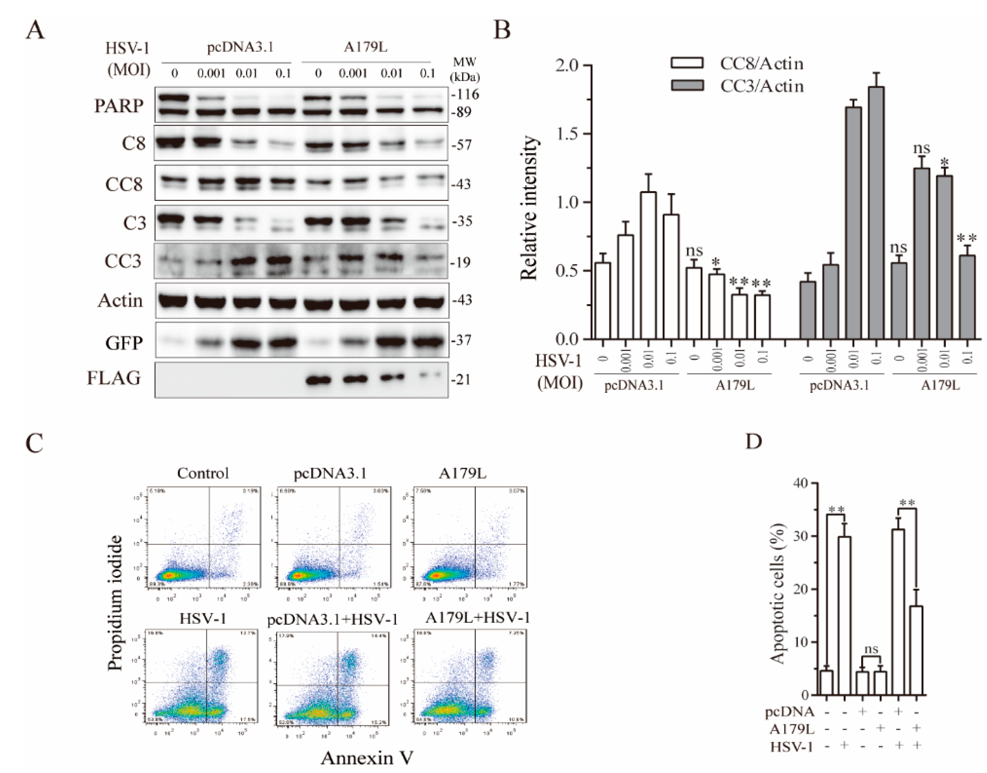 Viruses 13 02490 g002 550