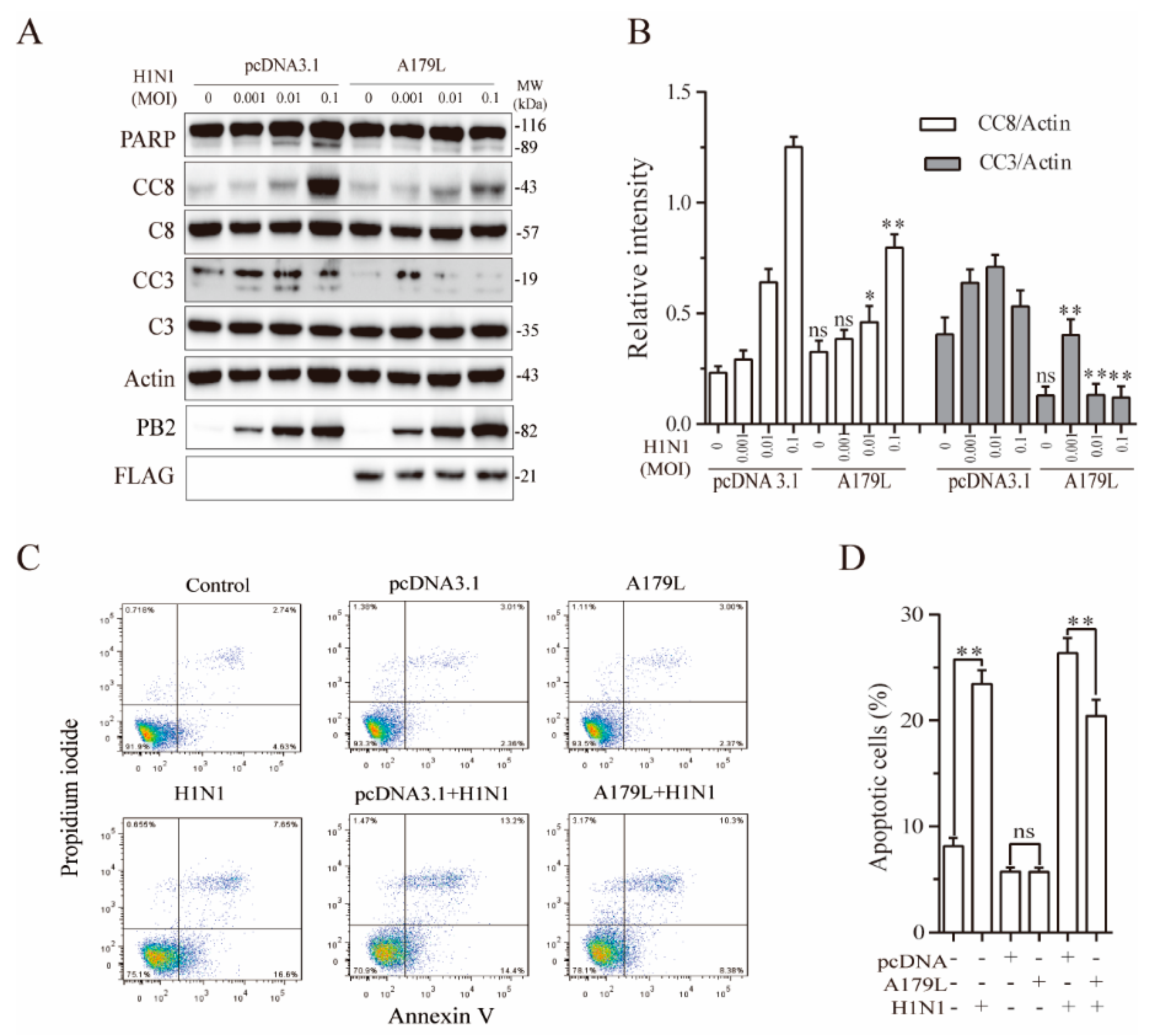 Viruses 13 02490 g006 550