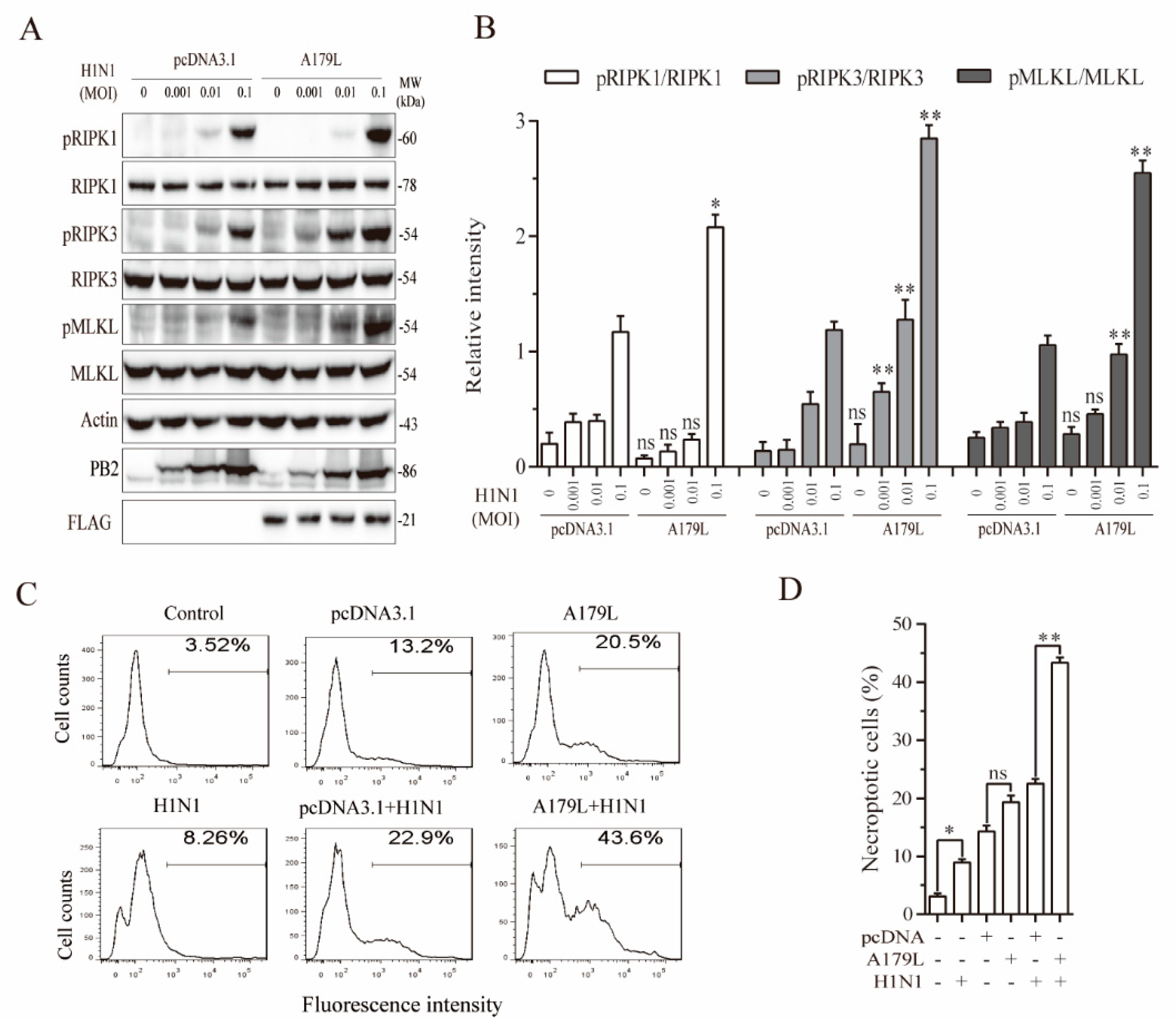 Viruses 13 02490 g007 550