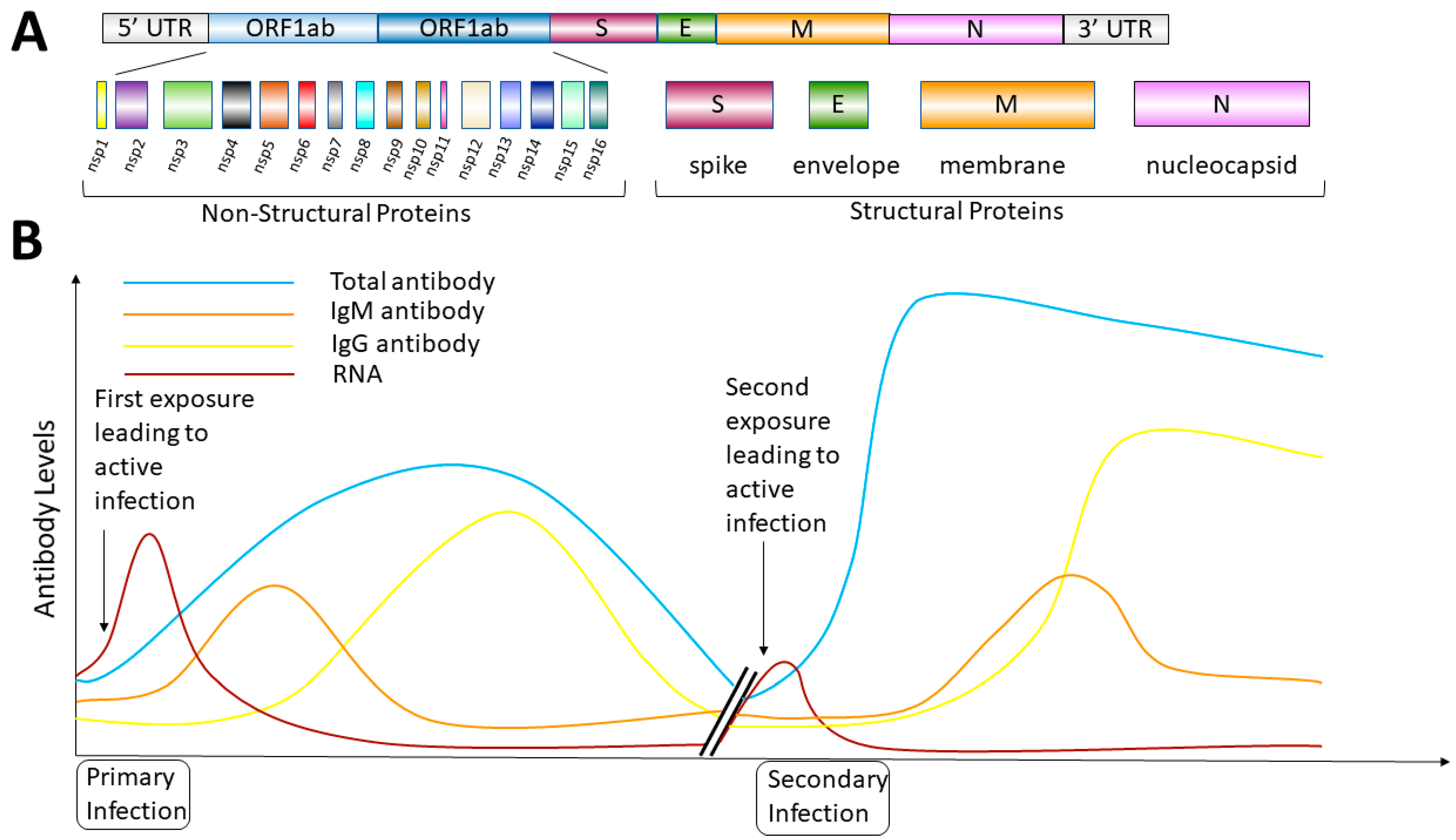 Viruses 13 02492 g001 550