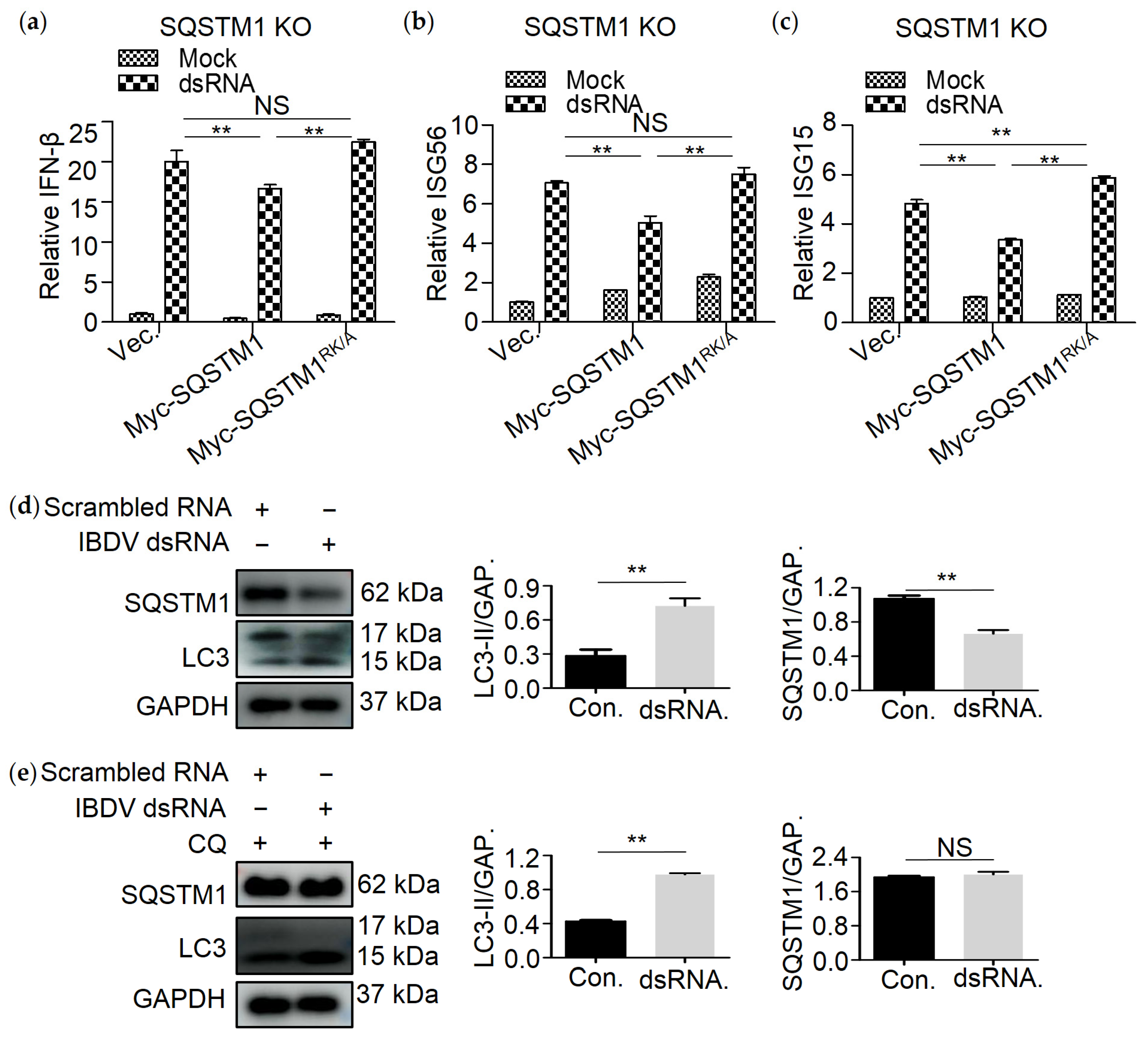 Viruses 13 02494 g006