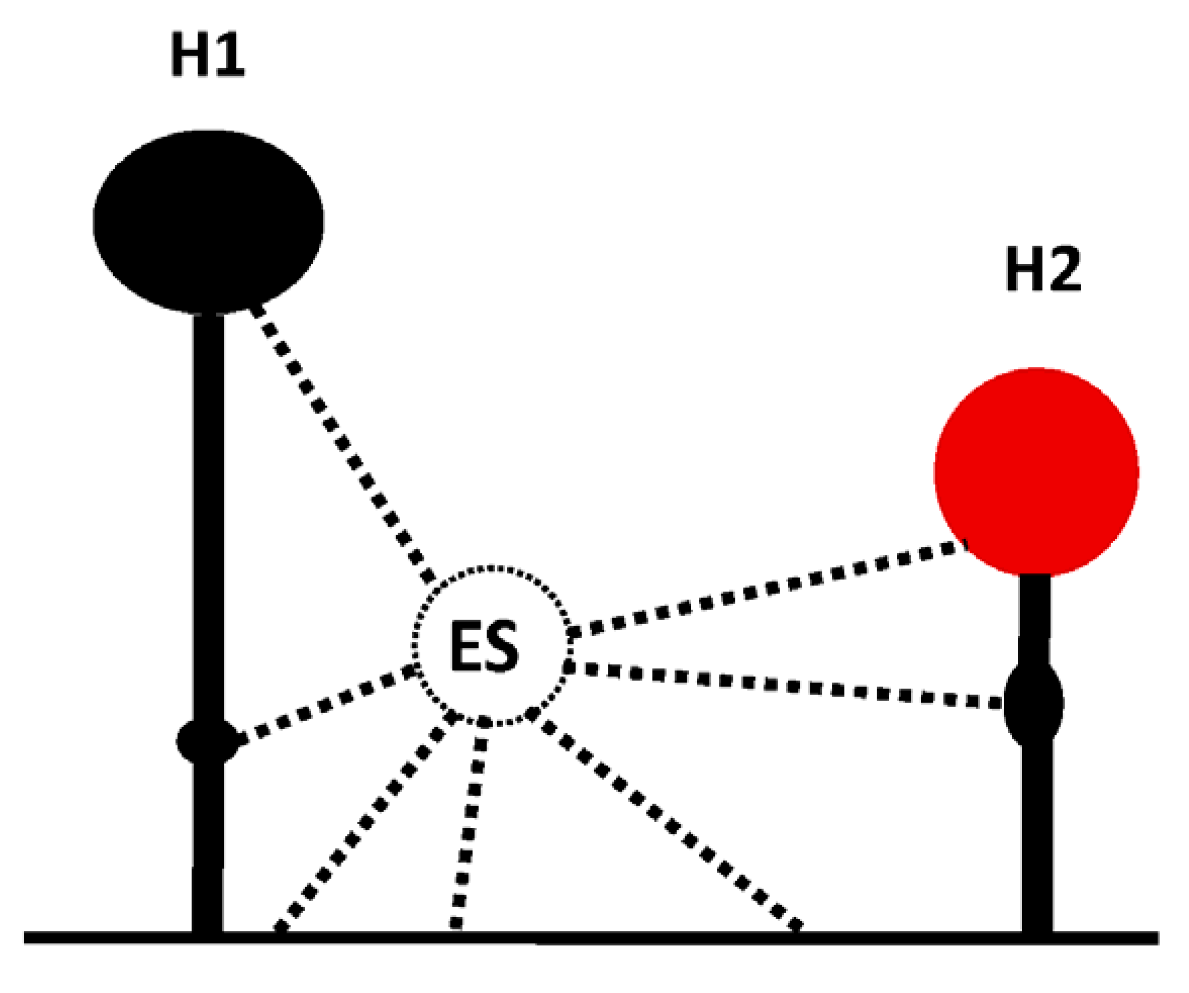 Viruses 13 02499 i004 Viruses 13 02499 i004