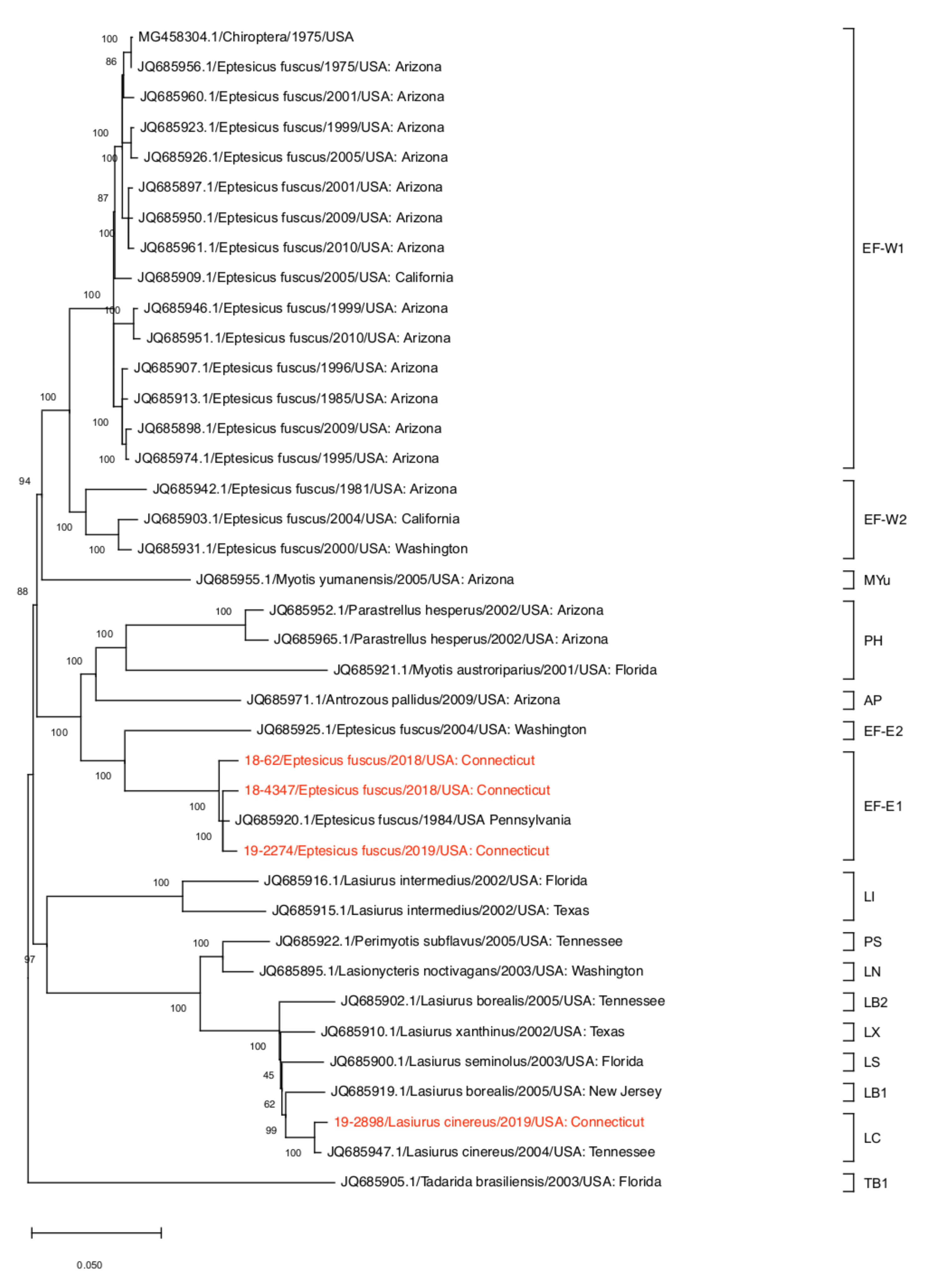 Viruses 13 02500 g002 Viruses 13 02500 g002
