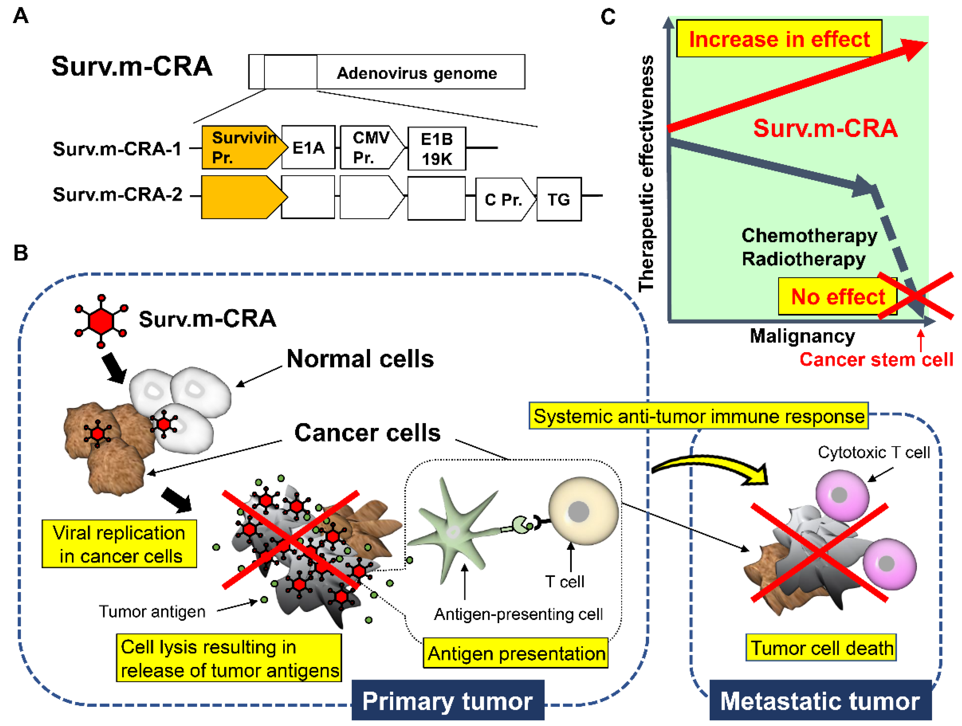 Viruses 13 02502 g003