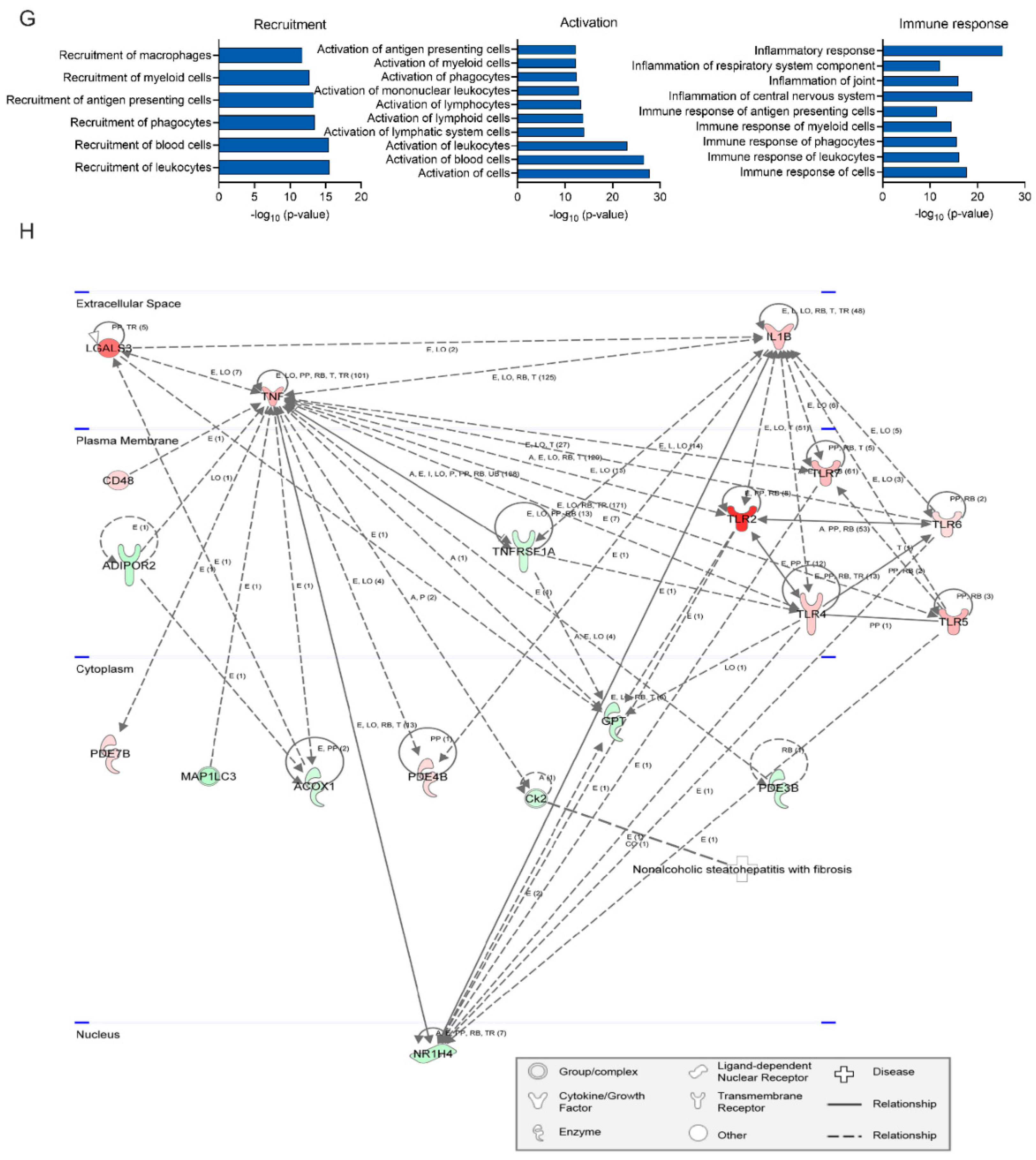 Viruses 13 02506 g002b 550