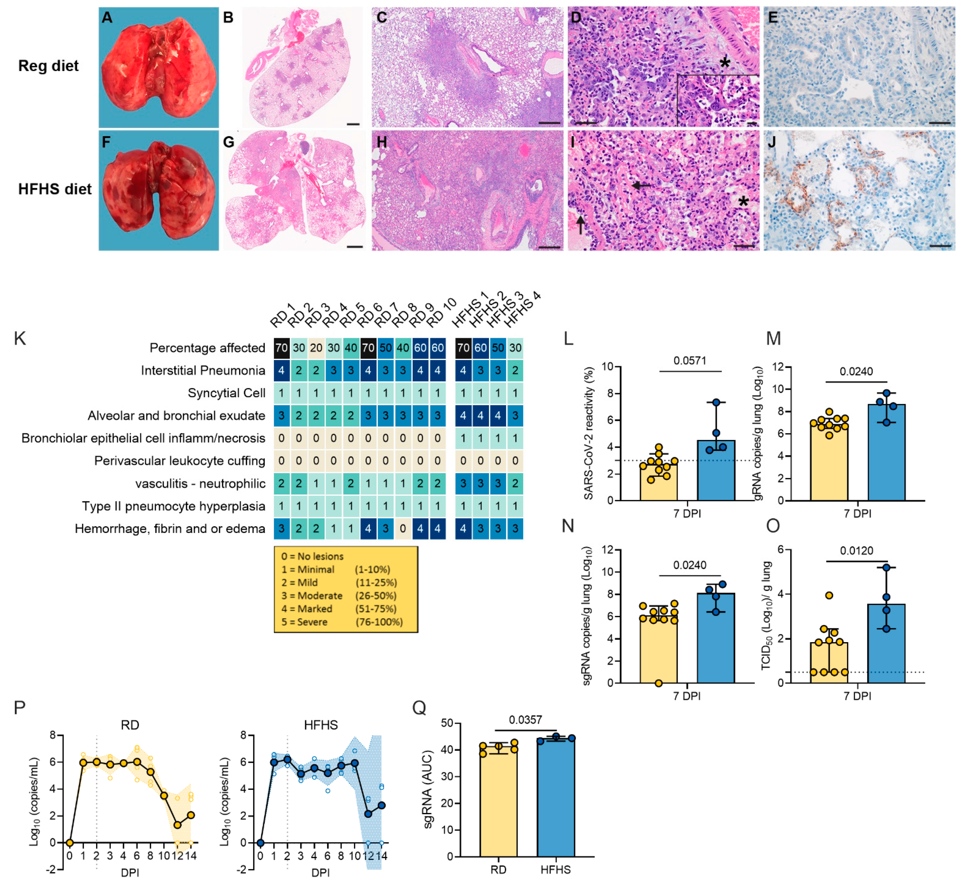 Viruses 13 02506 g004 550