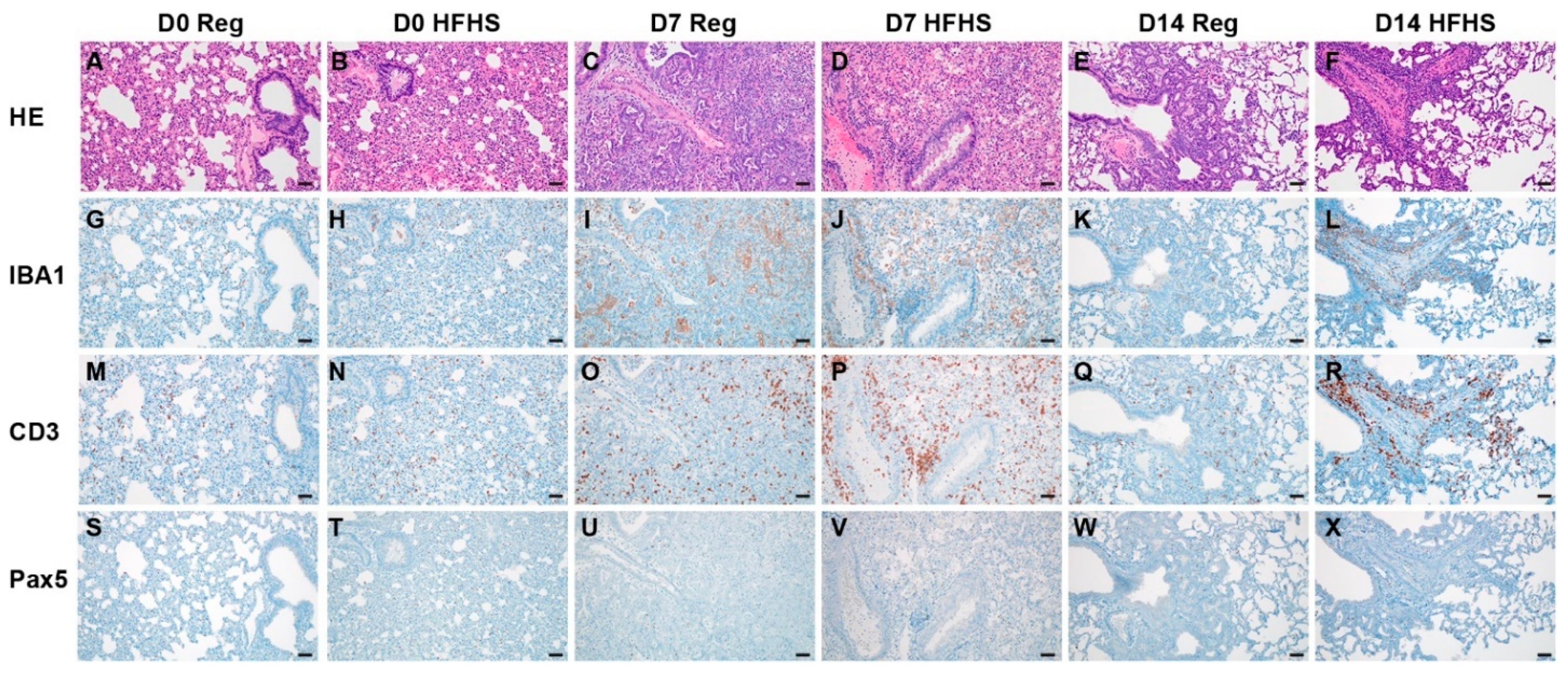 Viruses 13 02506 g005 550