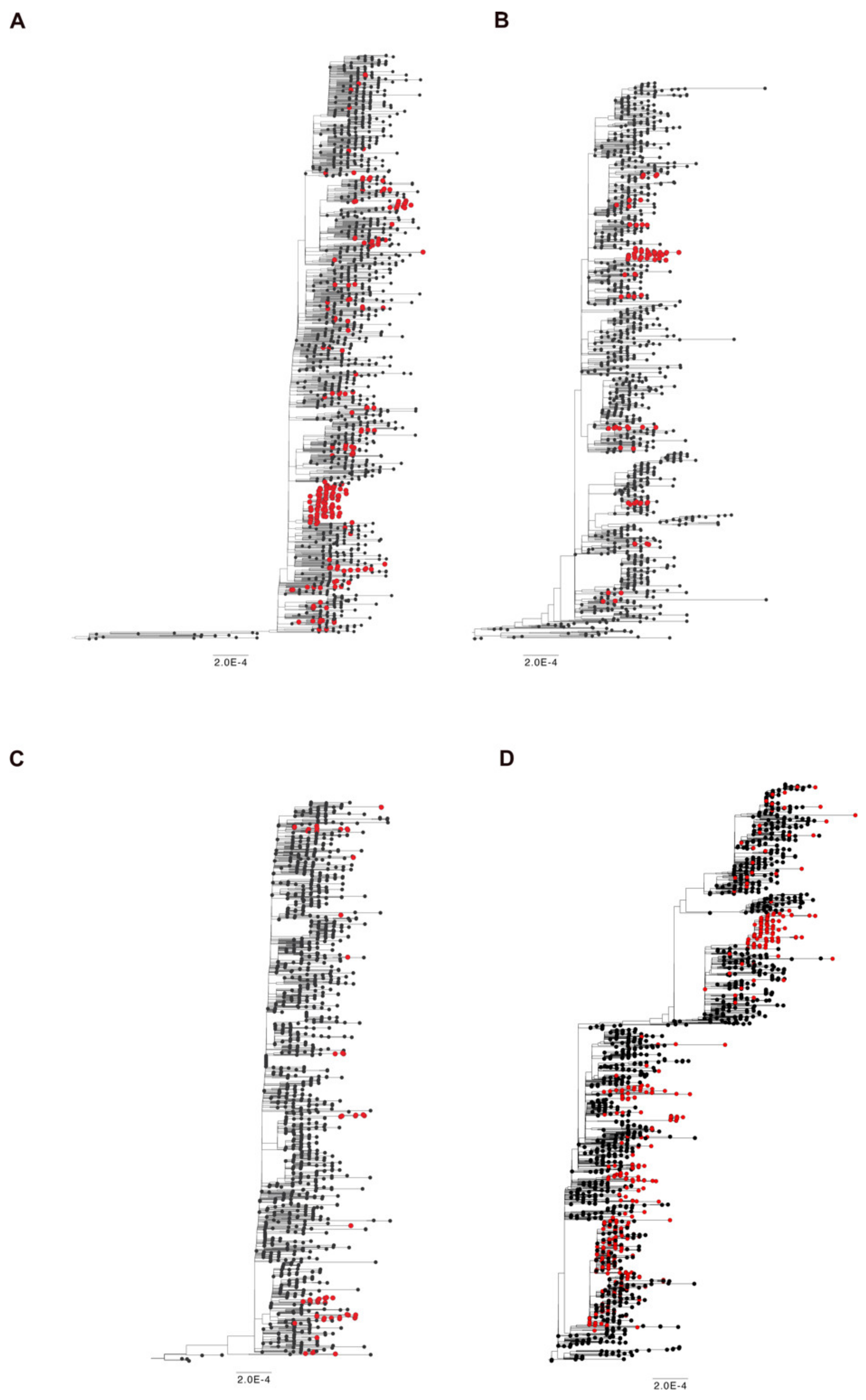 Viruses 13 02511 g004
