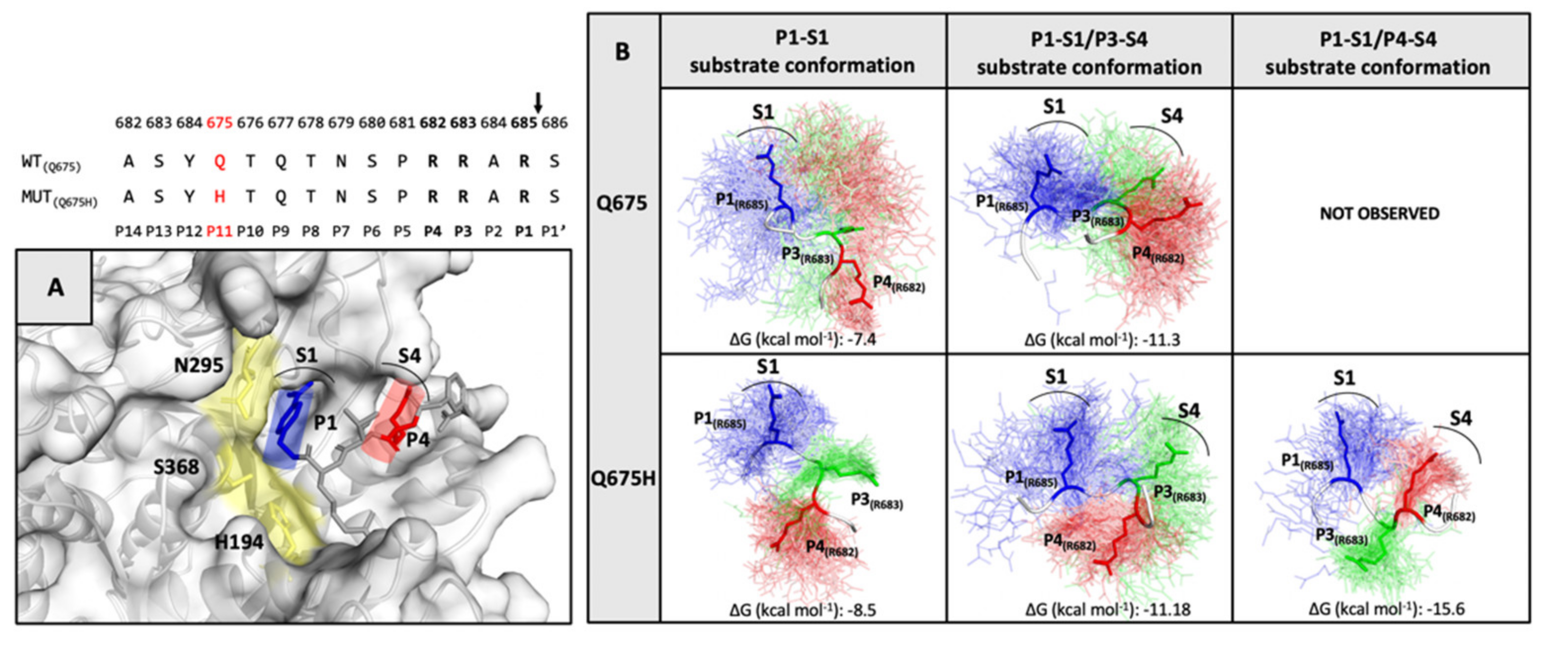 Viruses 13 02511 g007