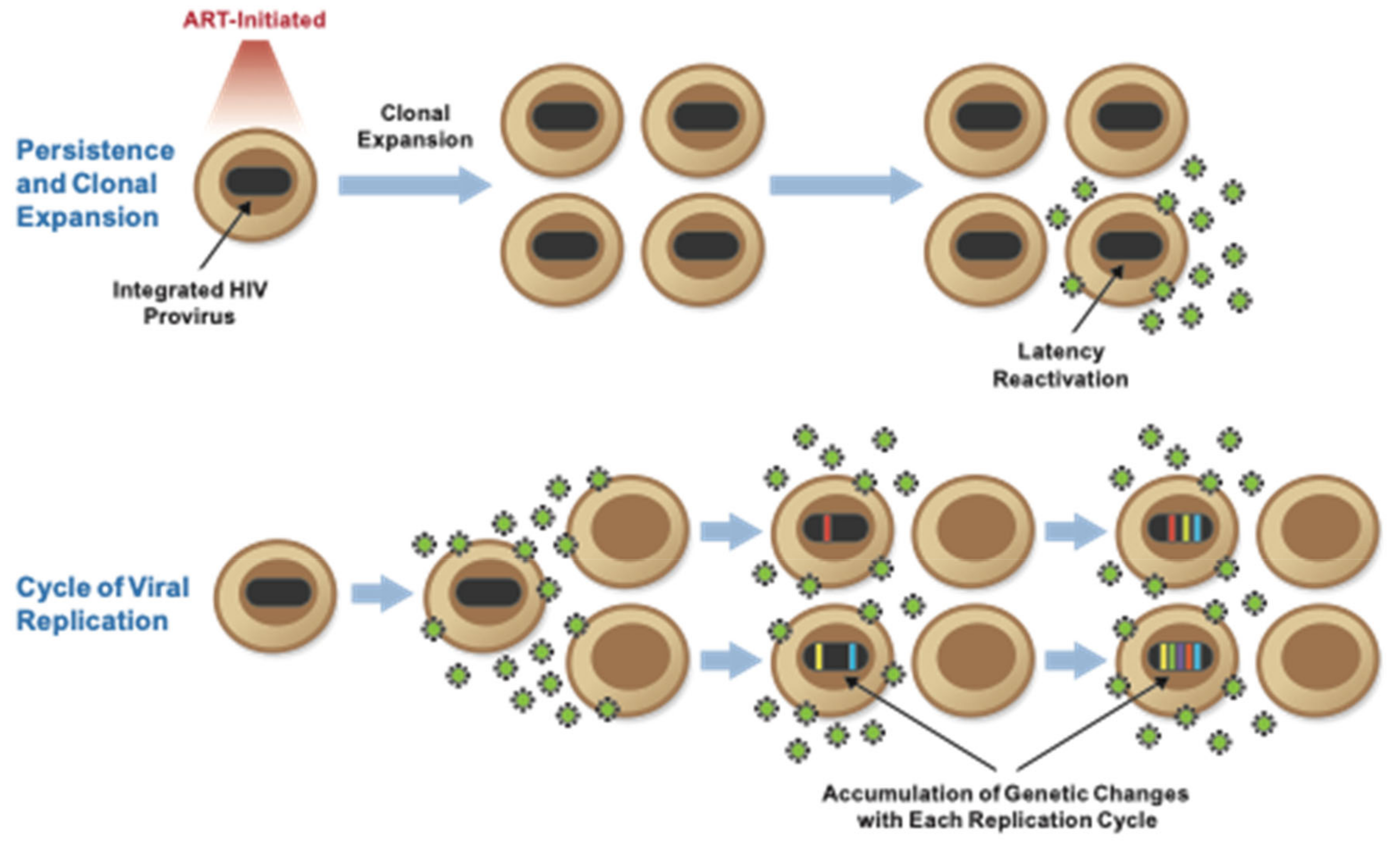Viruses 13 02512 g003 Viruses 13 02512 g003