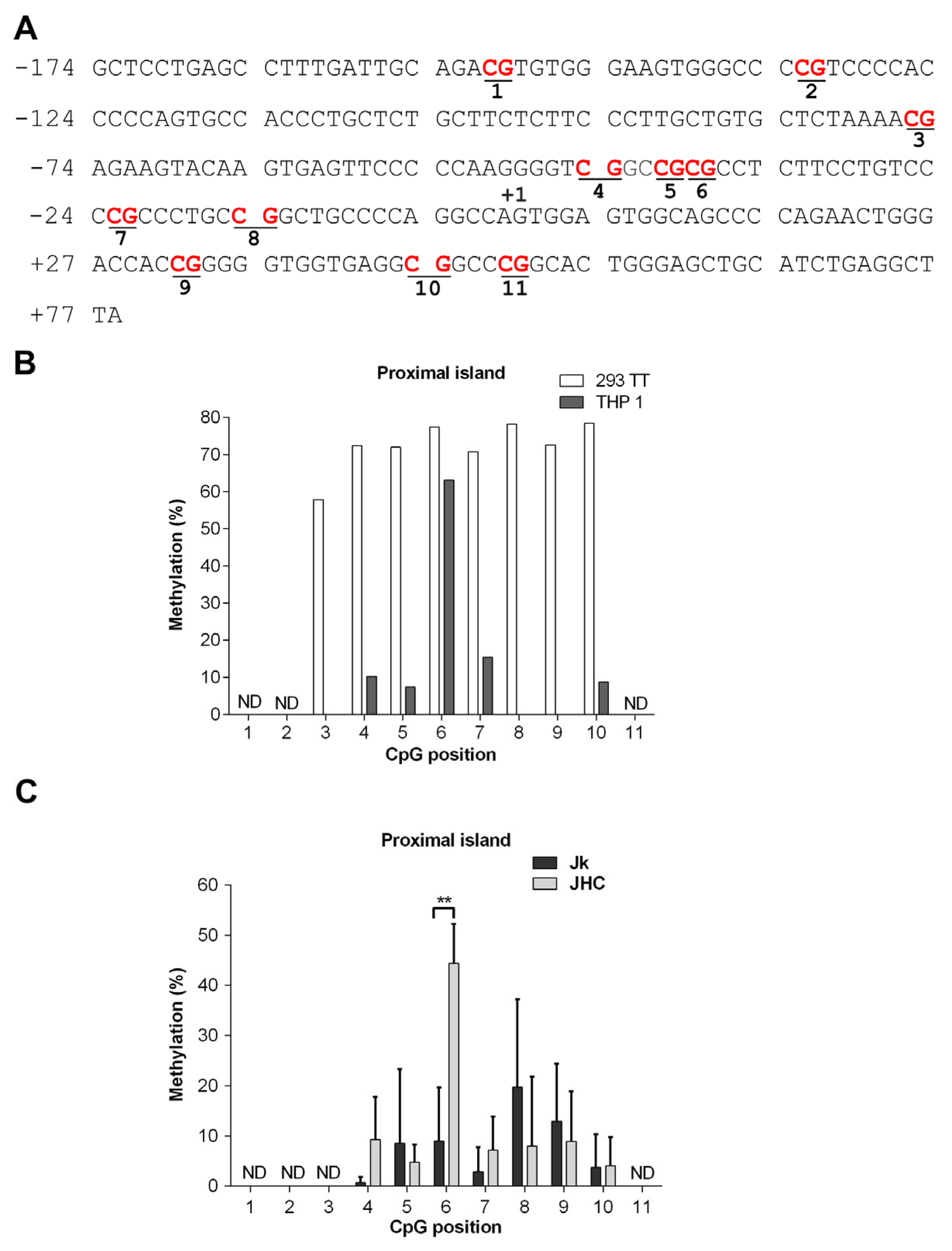 Viruses 13 02514 g006 Viruses 13 02514 g006