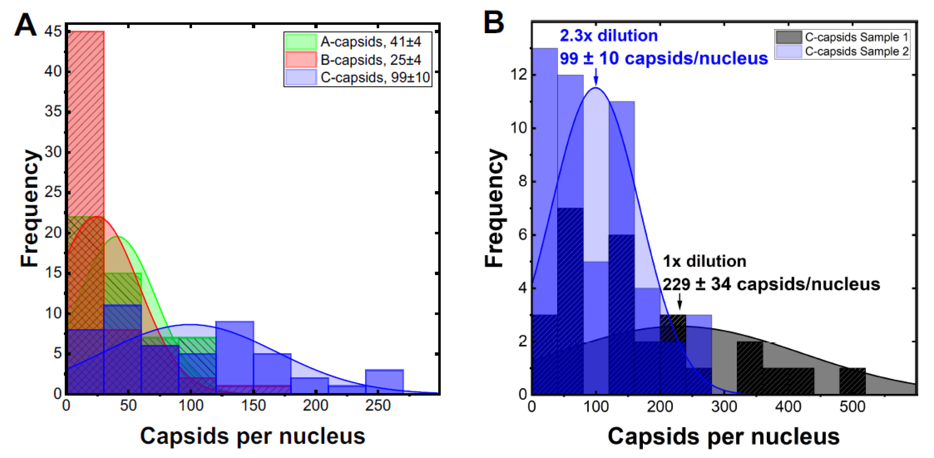 Viruses 13 02515 g004