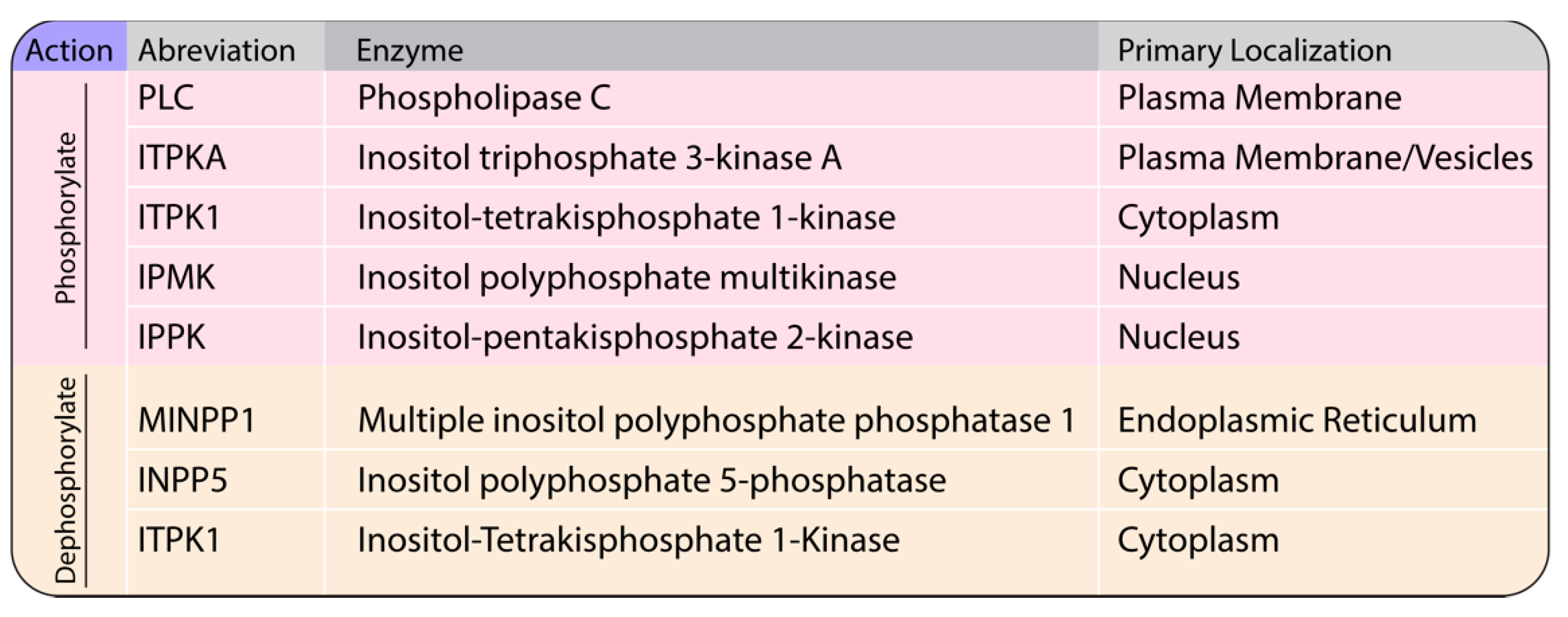 Viruses 13 02516 g003