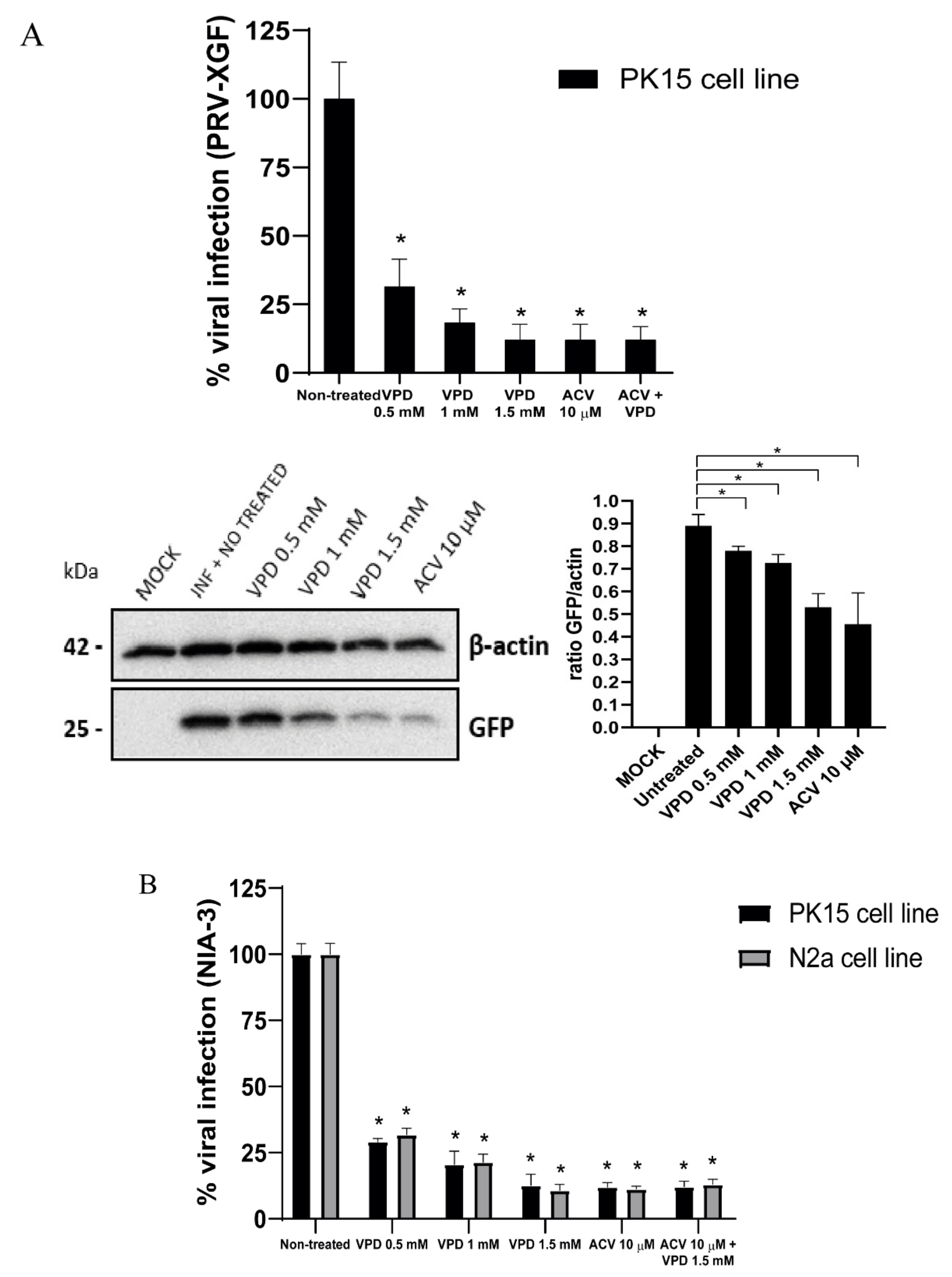Viruses 13 02522 g005