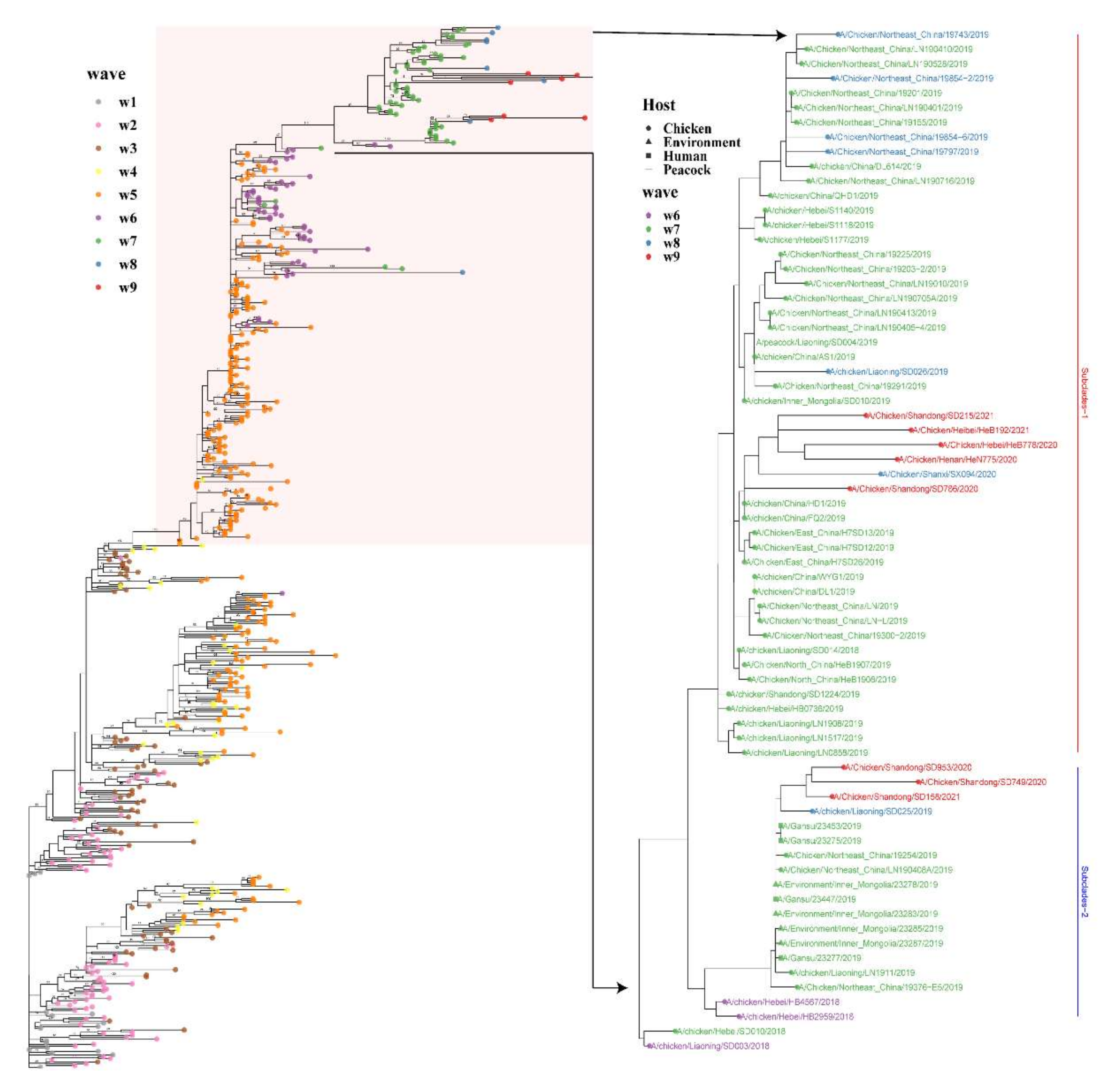 Viruses 13 02524 g002 550
