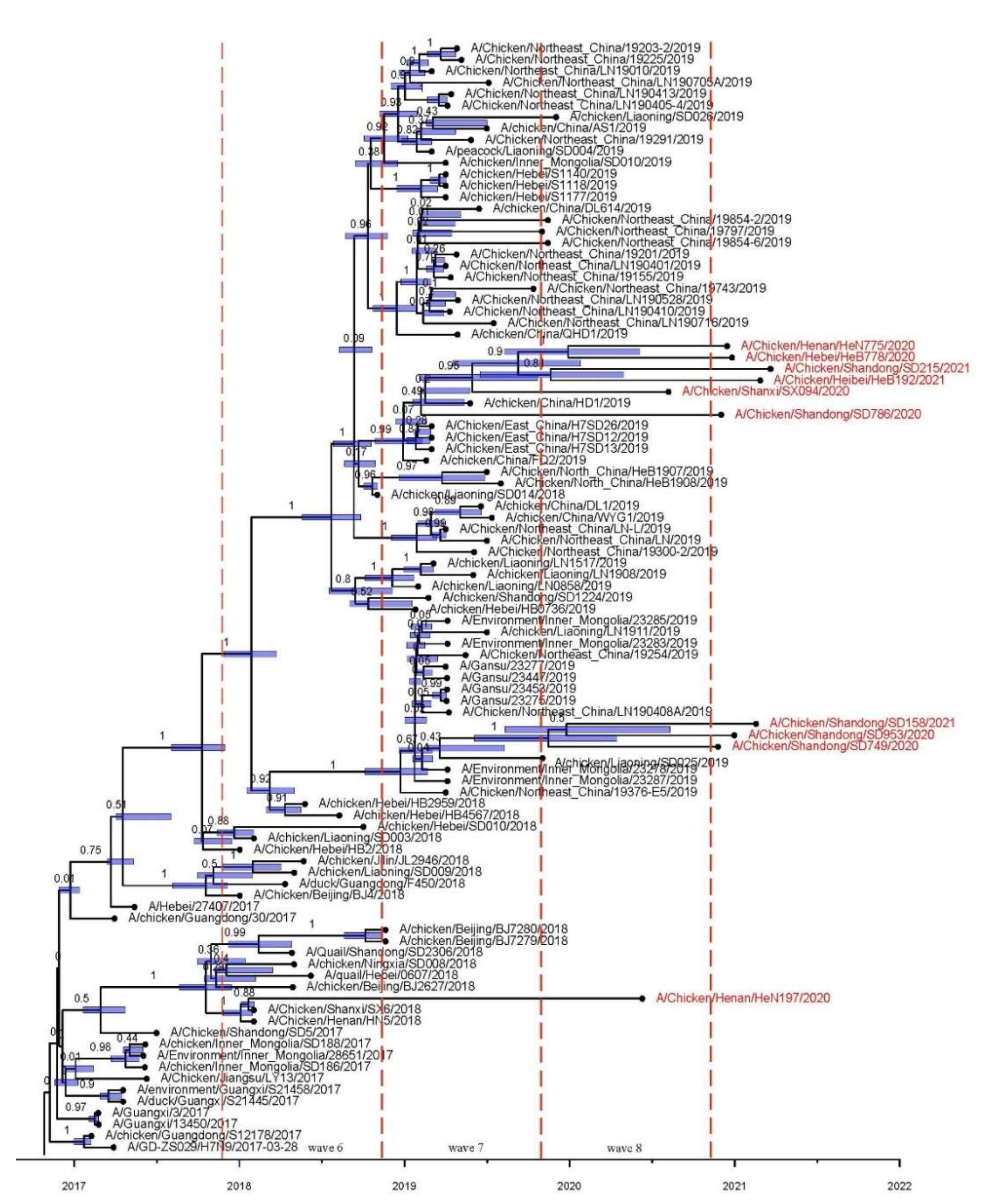 Viruses 13 02524 g003 550