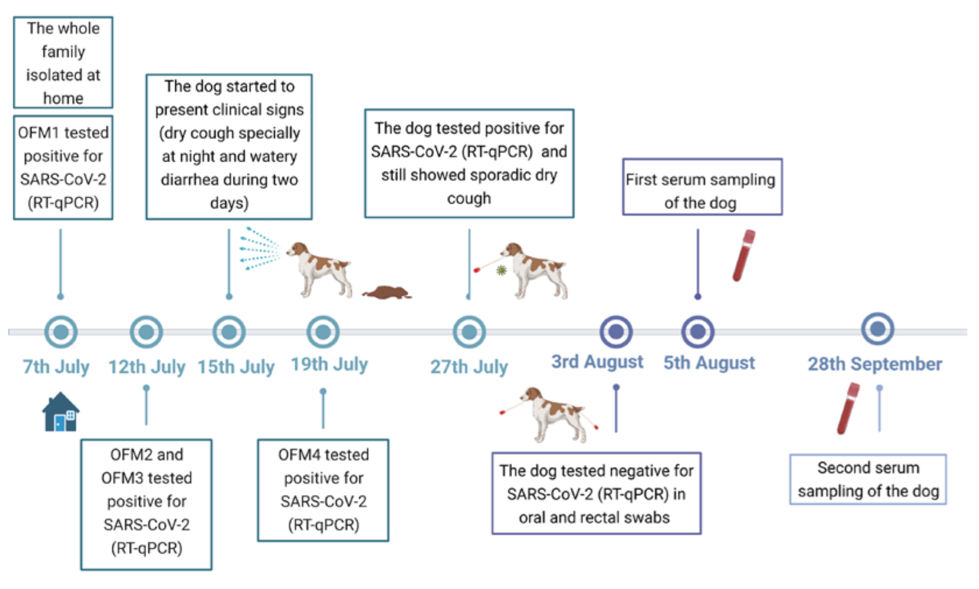 Viruses 13 02526 g001 550