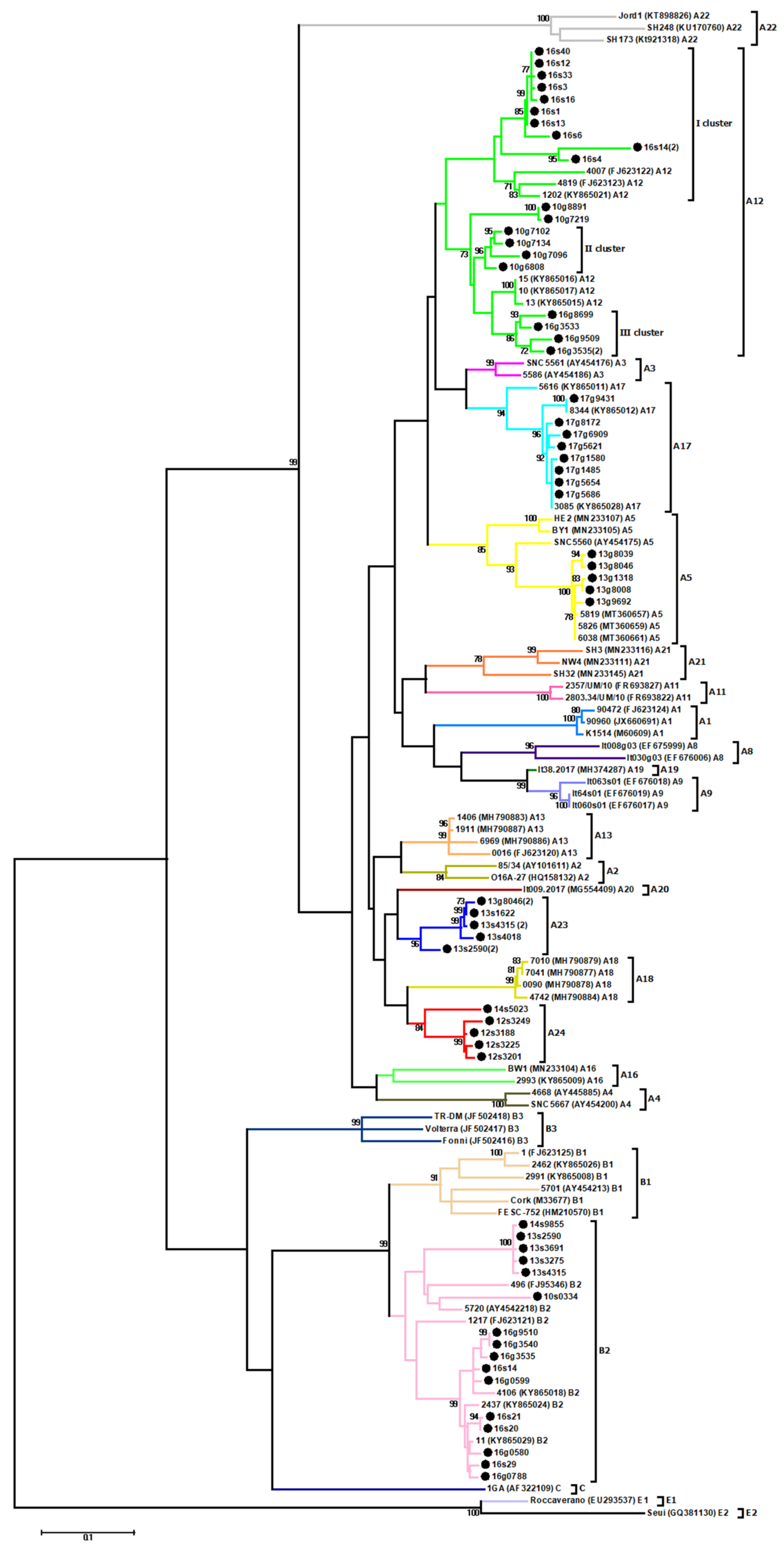 Viruses 13 02529 g001 Viruses 13 02529 g001