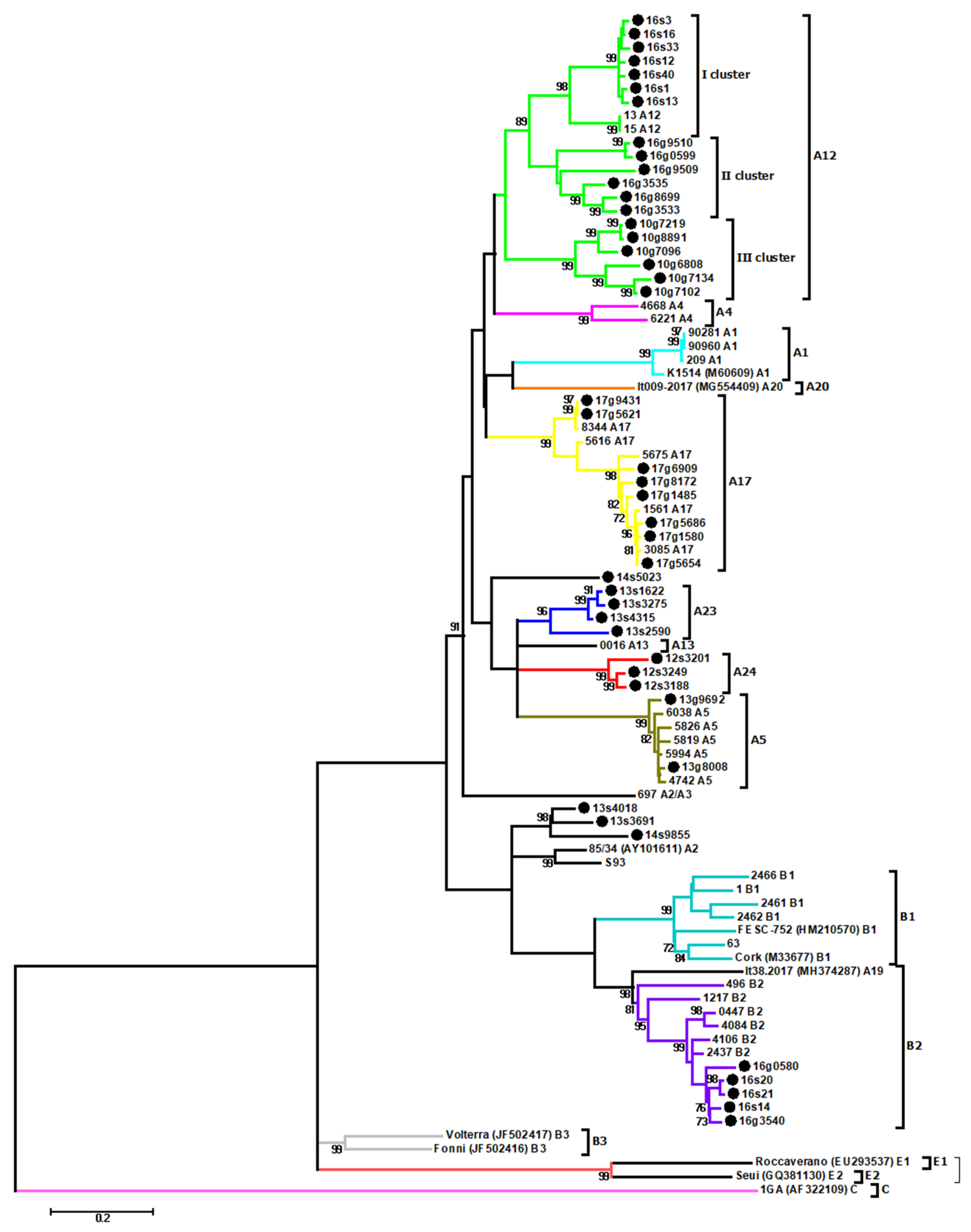 Viruses 13 02529 g002 Viruses 13 02529 g002