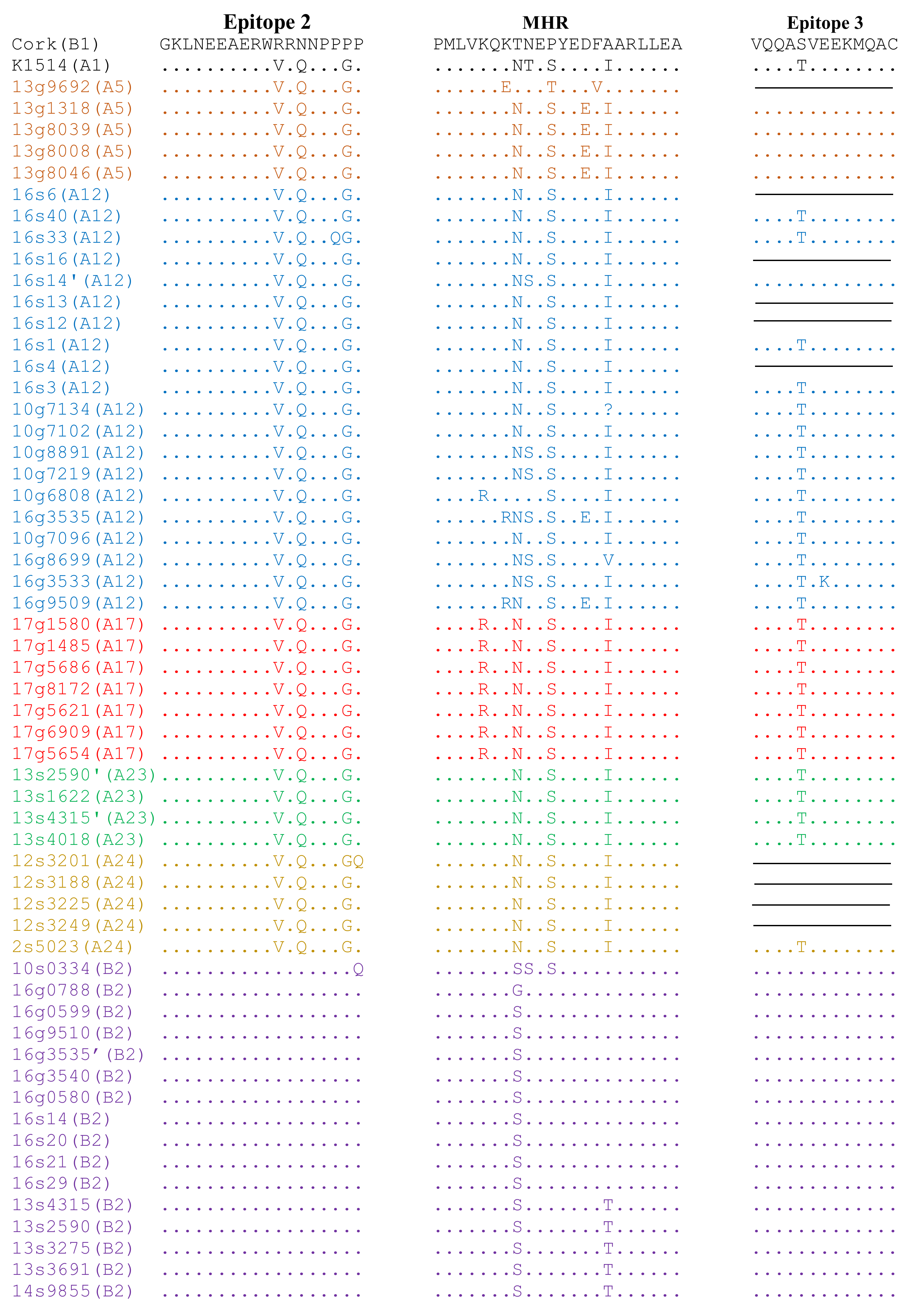 Viruses 13 02529 g004 Viruses 13 02529 g004