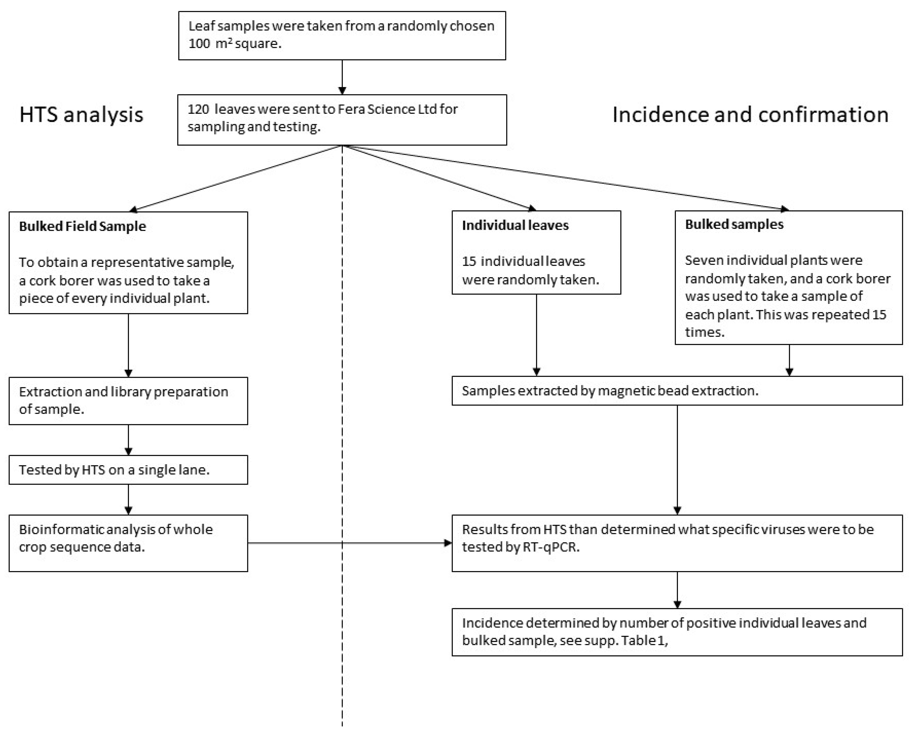 Viruses 13 02530 g003