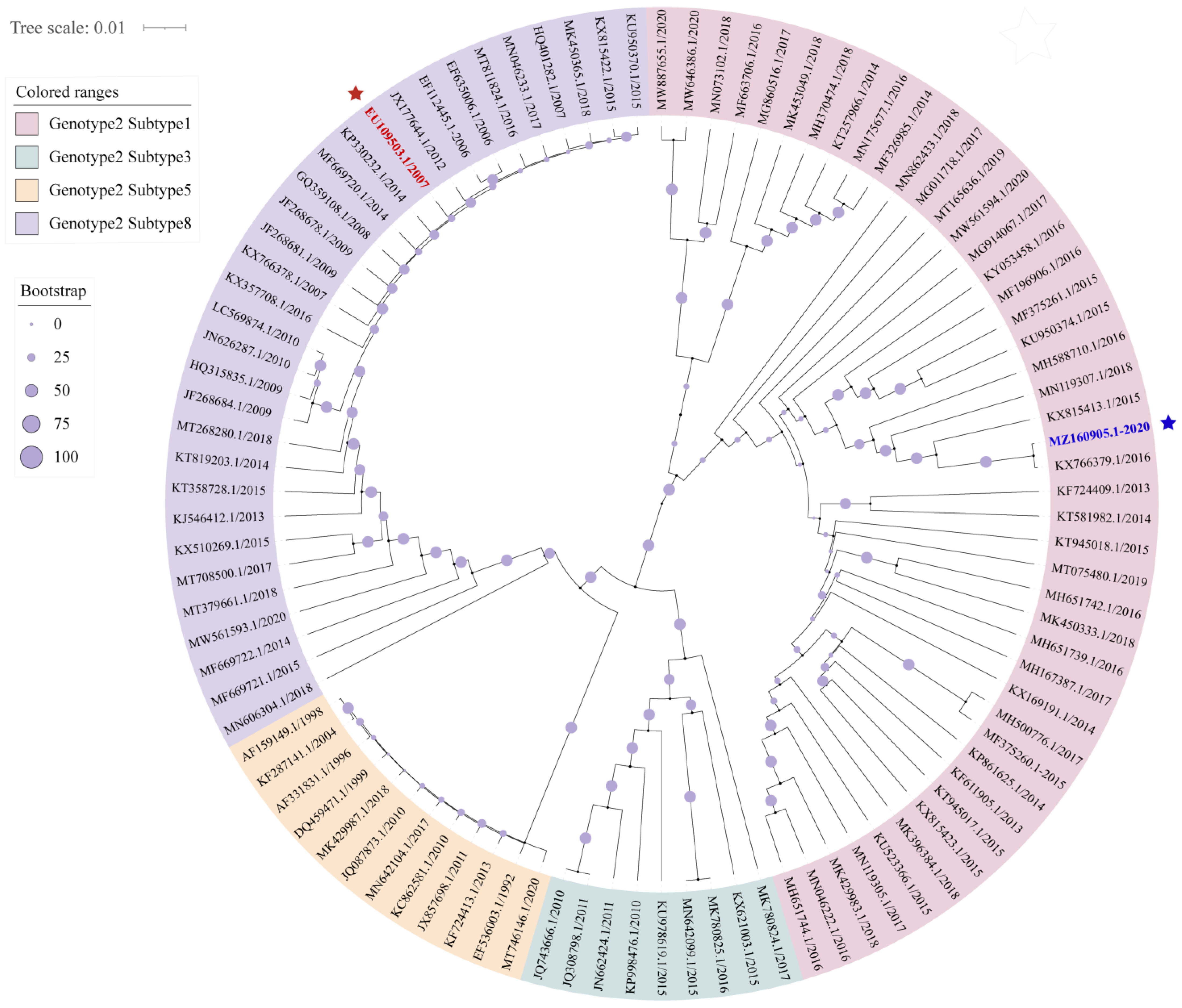 Viruses 13 02531 g001 550