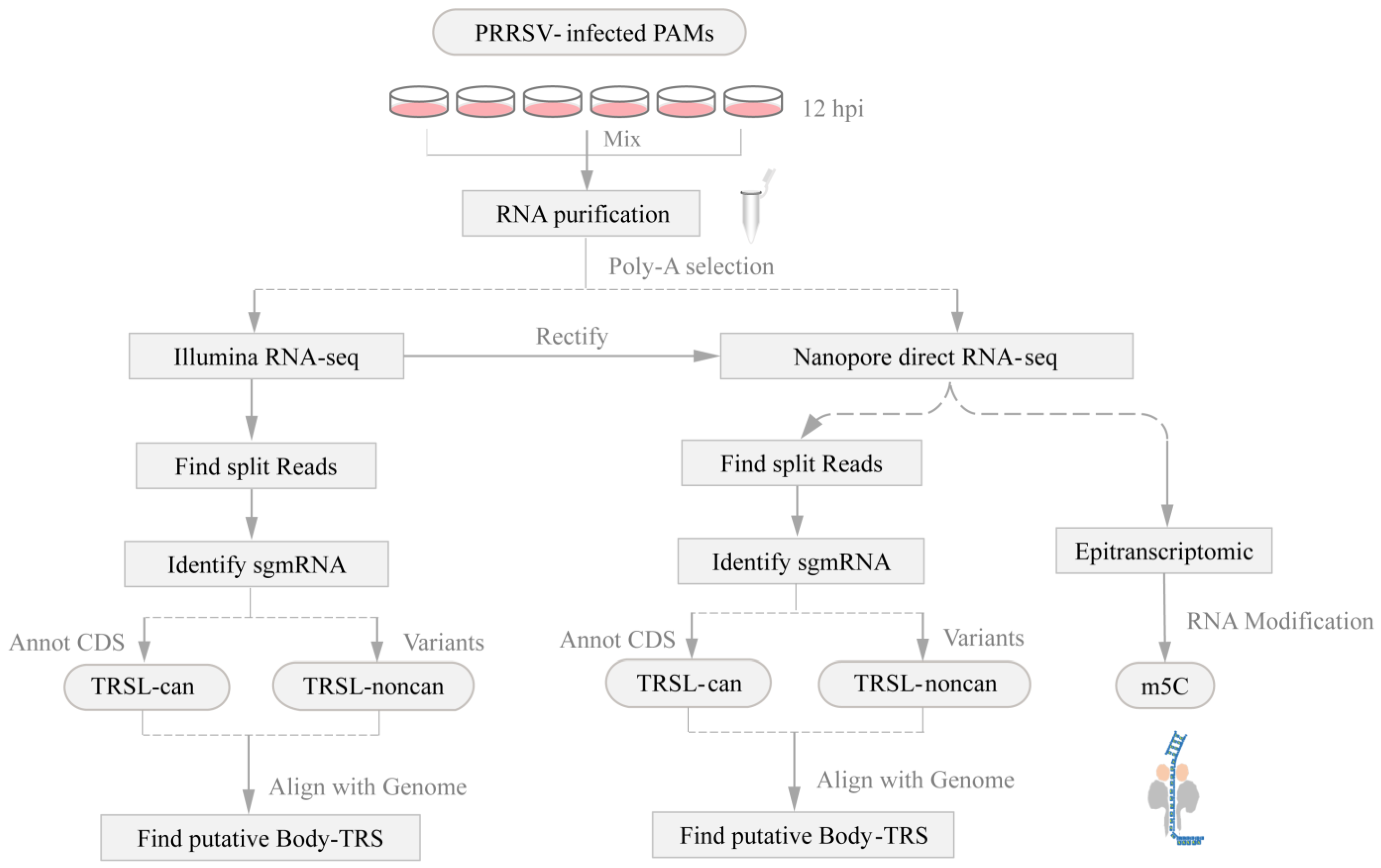 Viruses 13 02531 g002 550