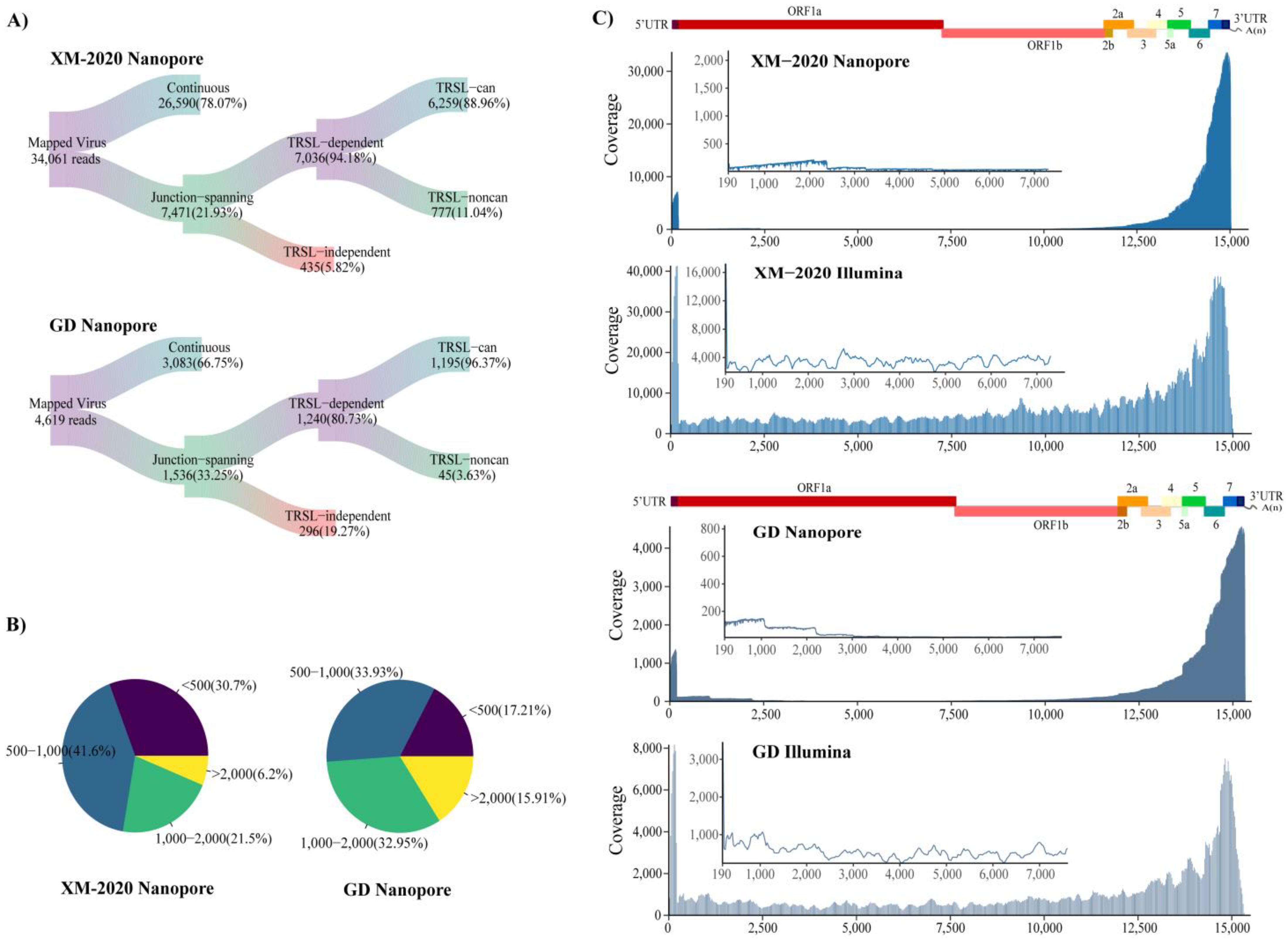 Viruses 13 02531 g003 550