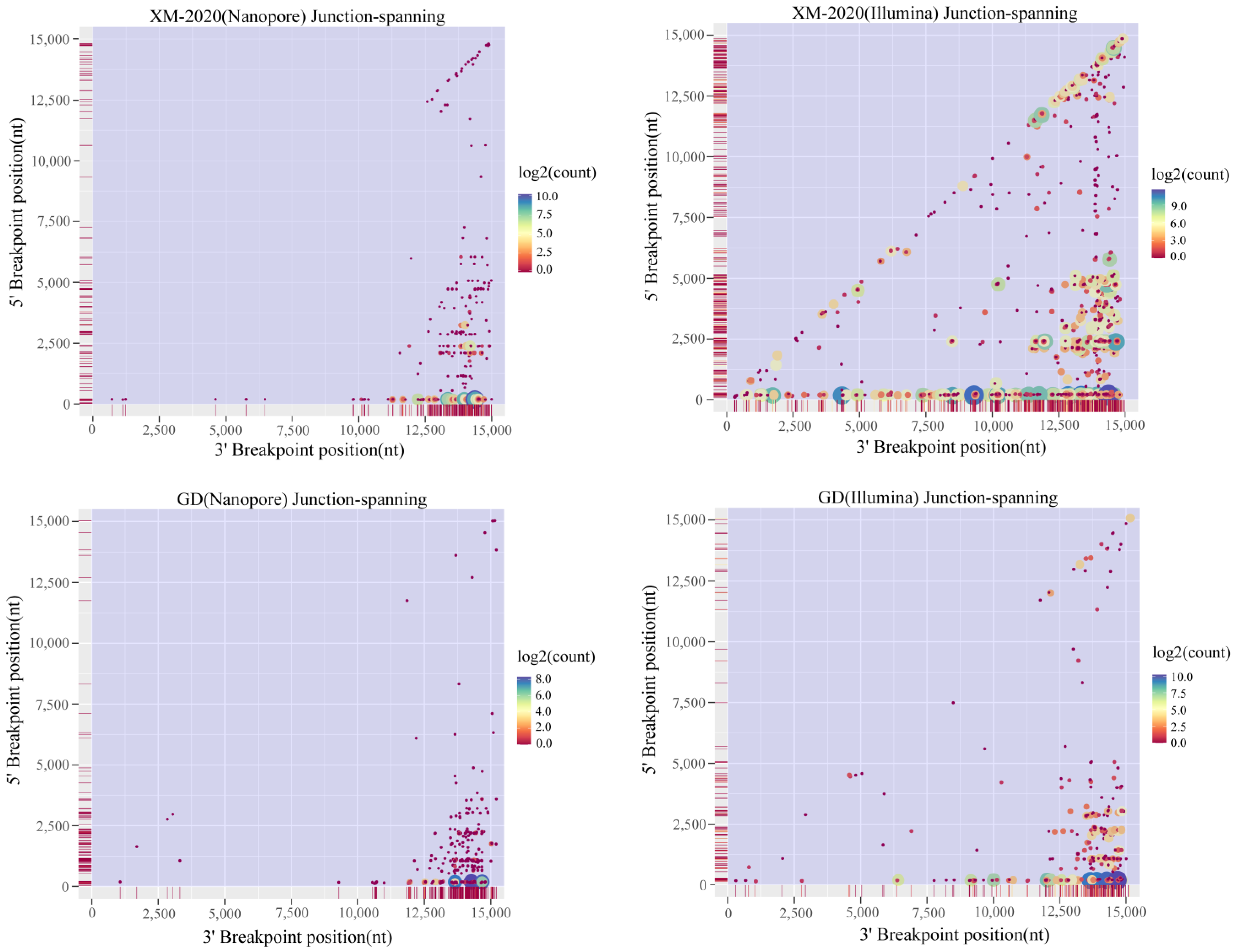 Viruses 13 02531 g004 550