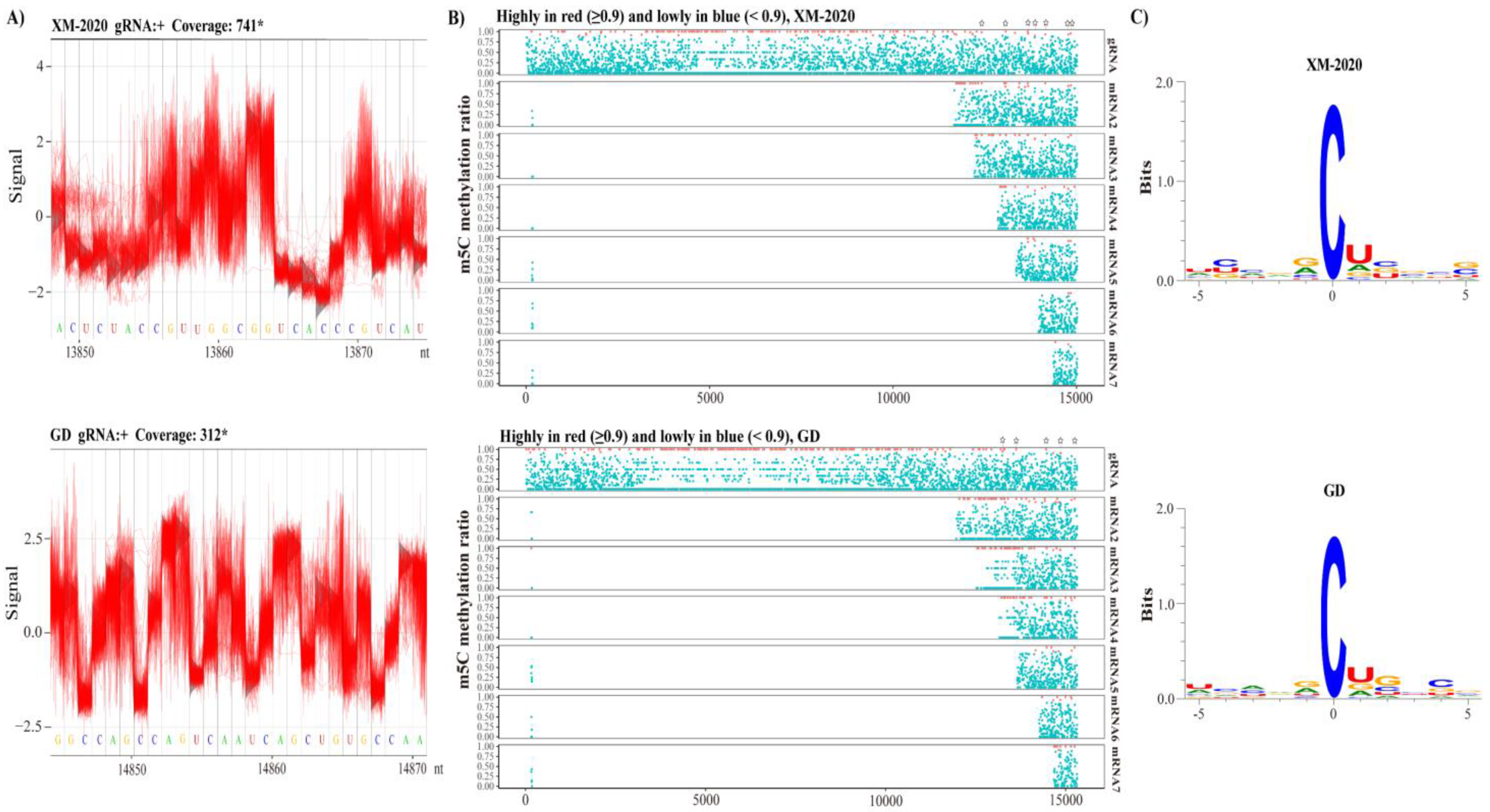 Viruses 13 02531 g009 550