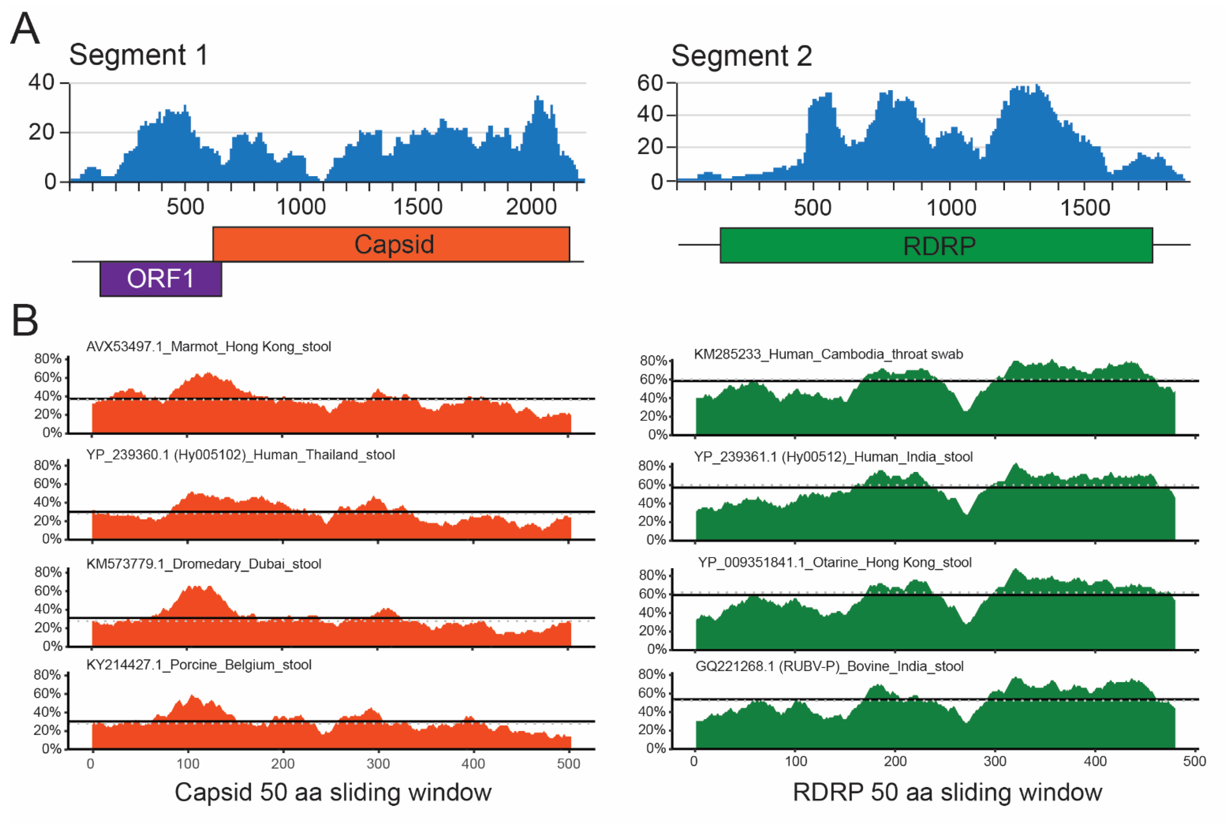 Viruses 13 02534 g001 Viruses 13 02534 g001
