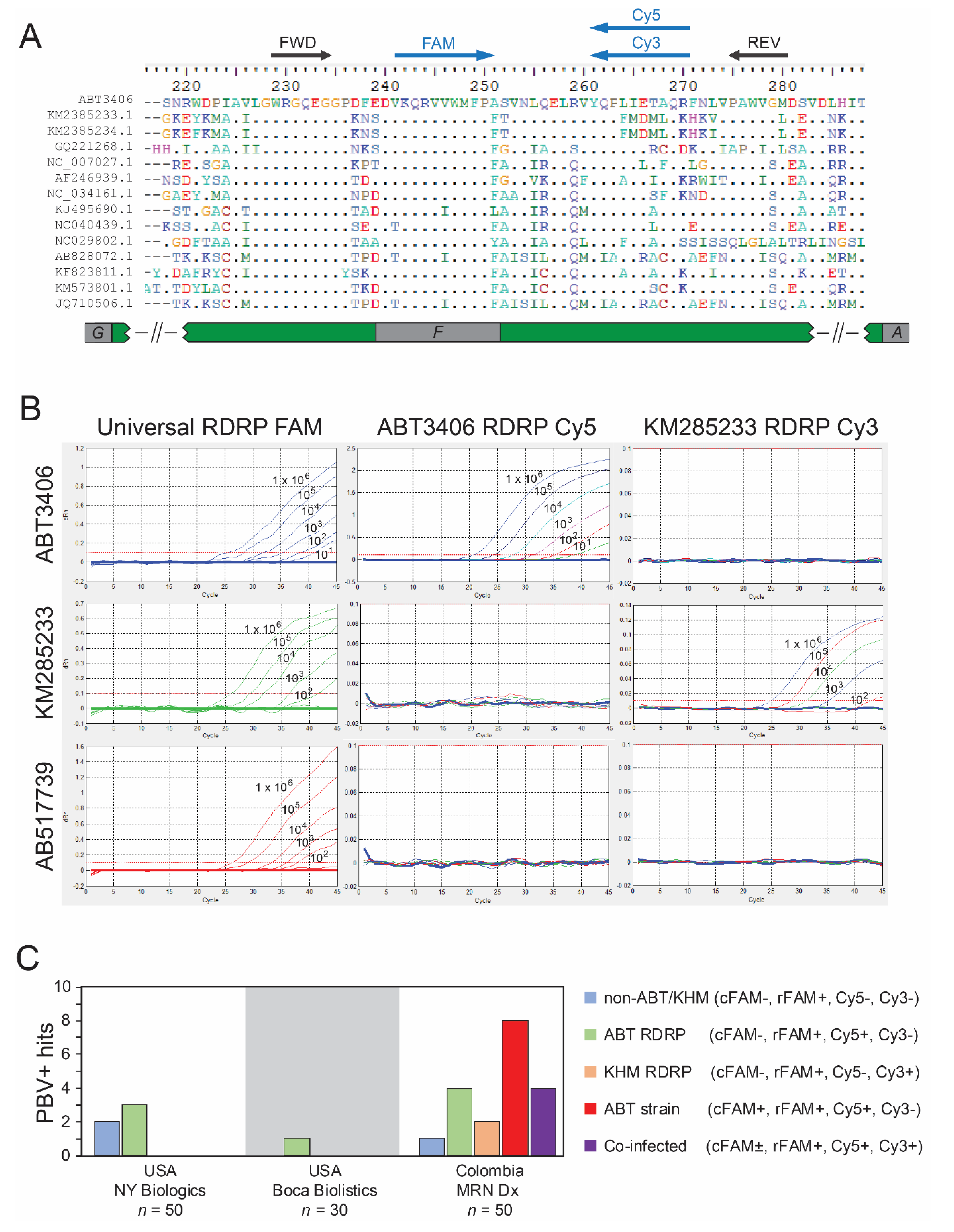 Viruses 13 02534 g003 Viruses 13 02534 g003