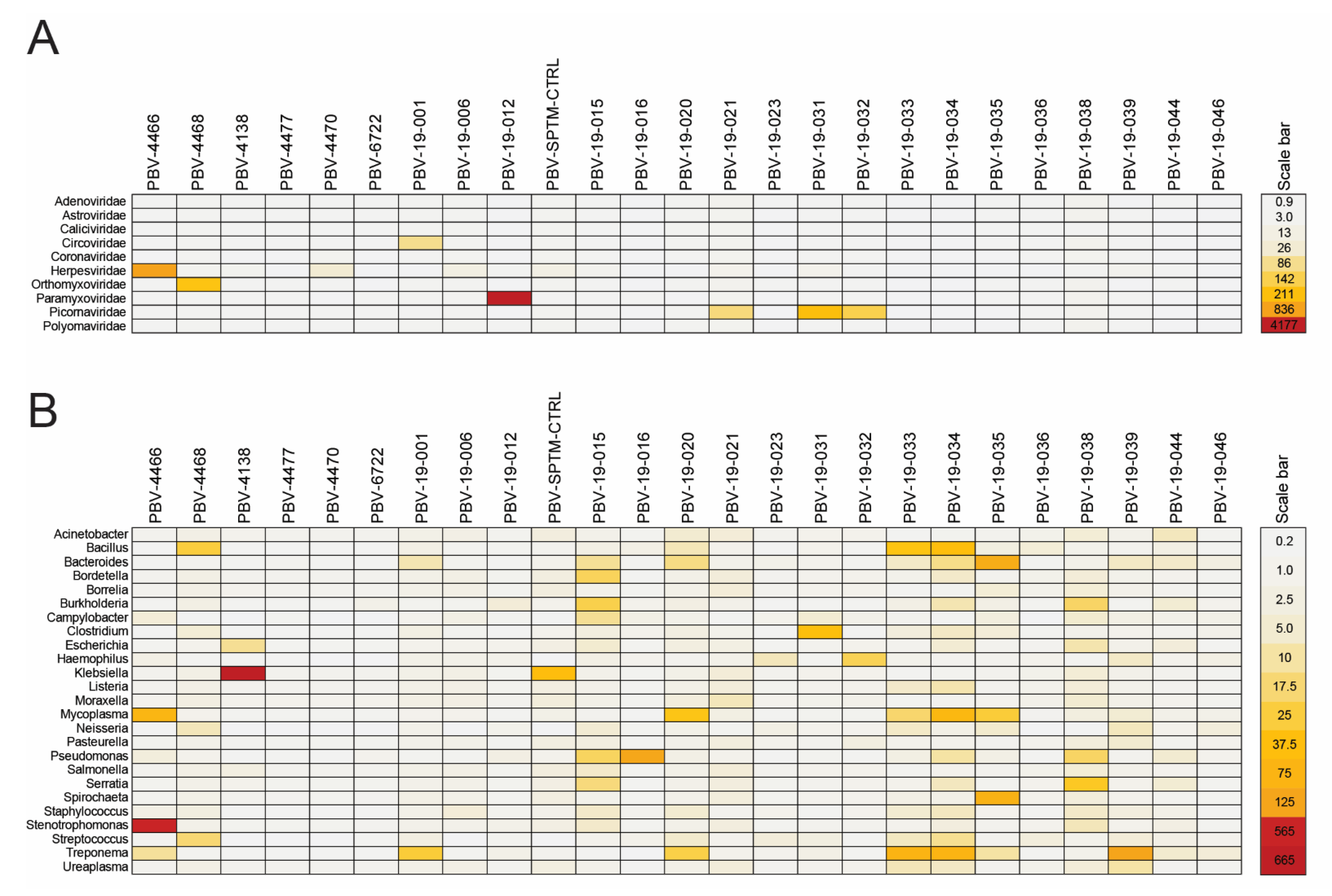 Viruses 13 02534 g005 Viruses 13 02534 g005
