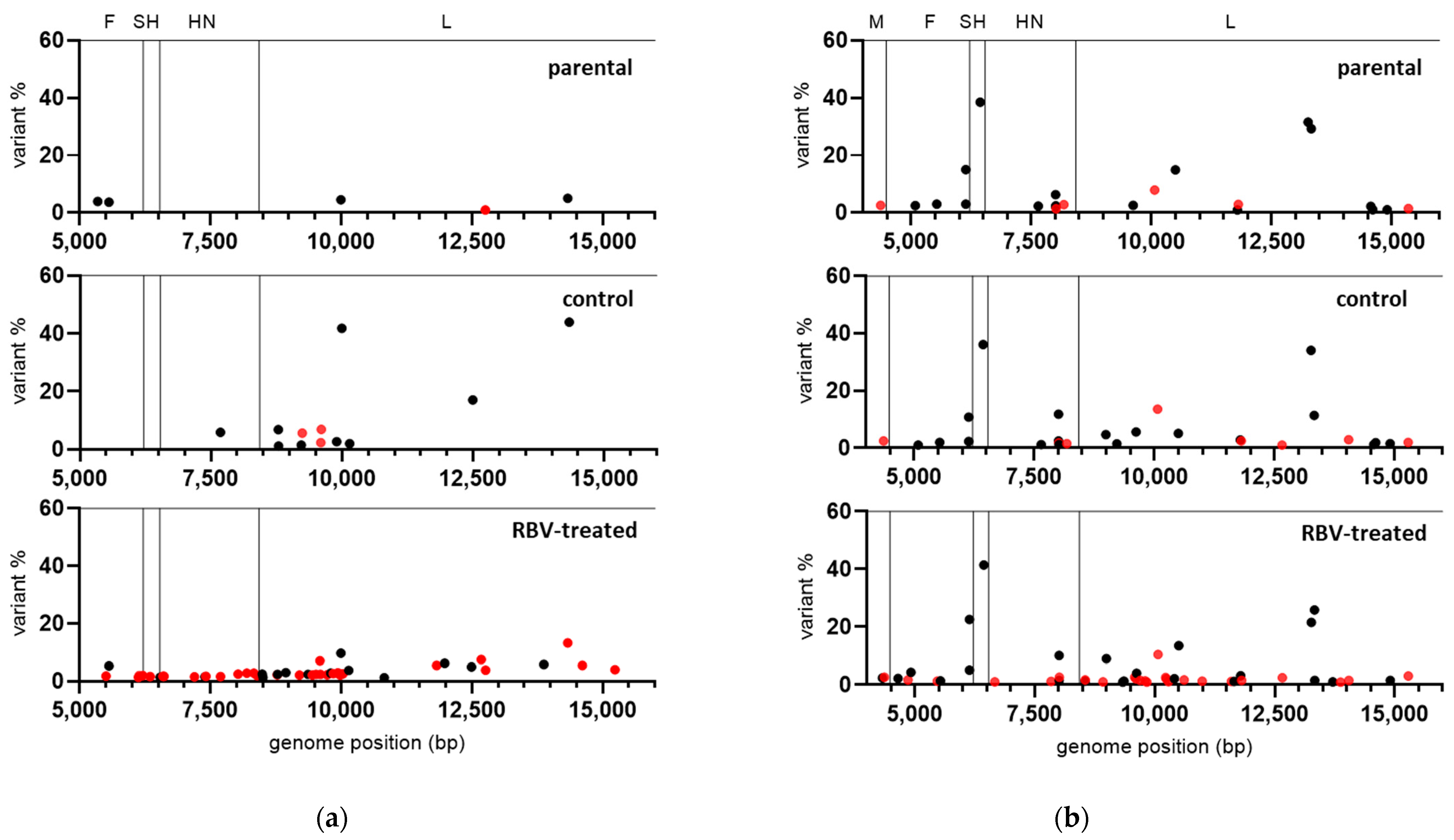 Viruses 13 02535 g003 550