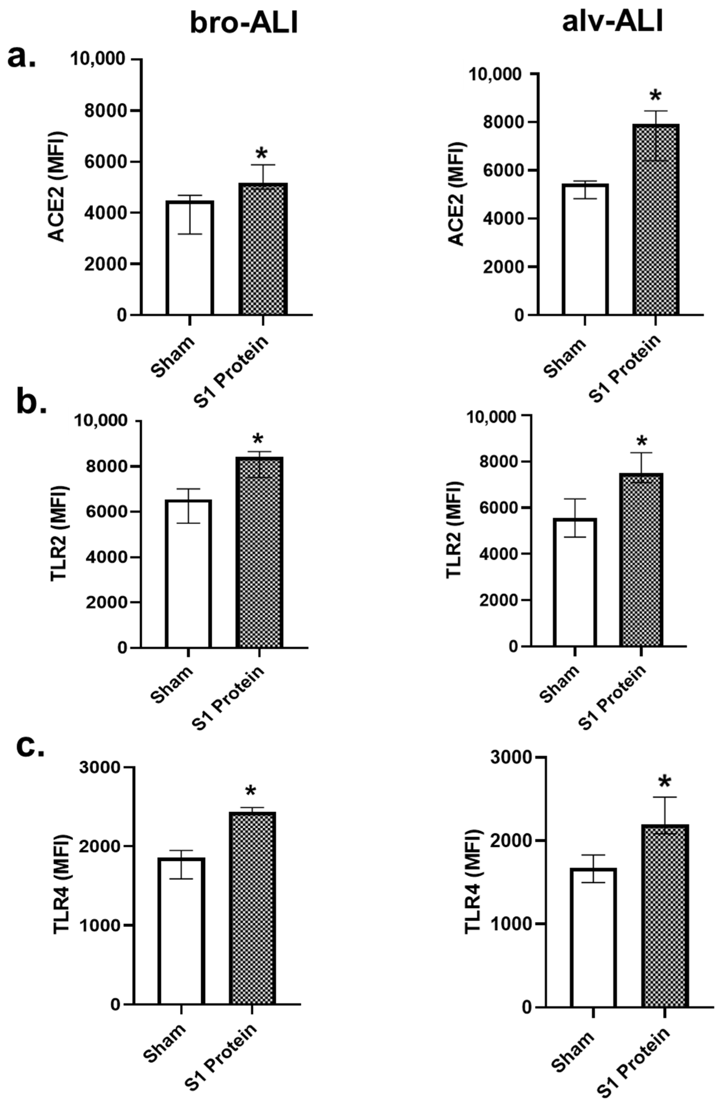 Viruses 13 02537 g002 550