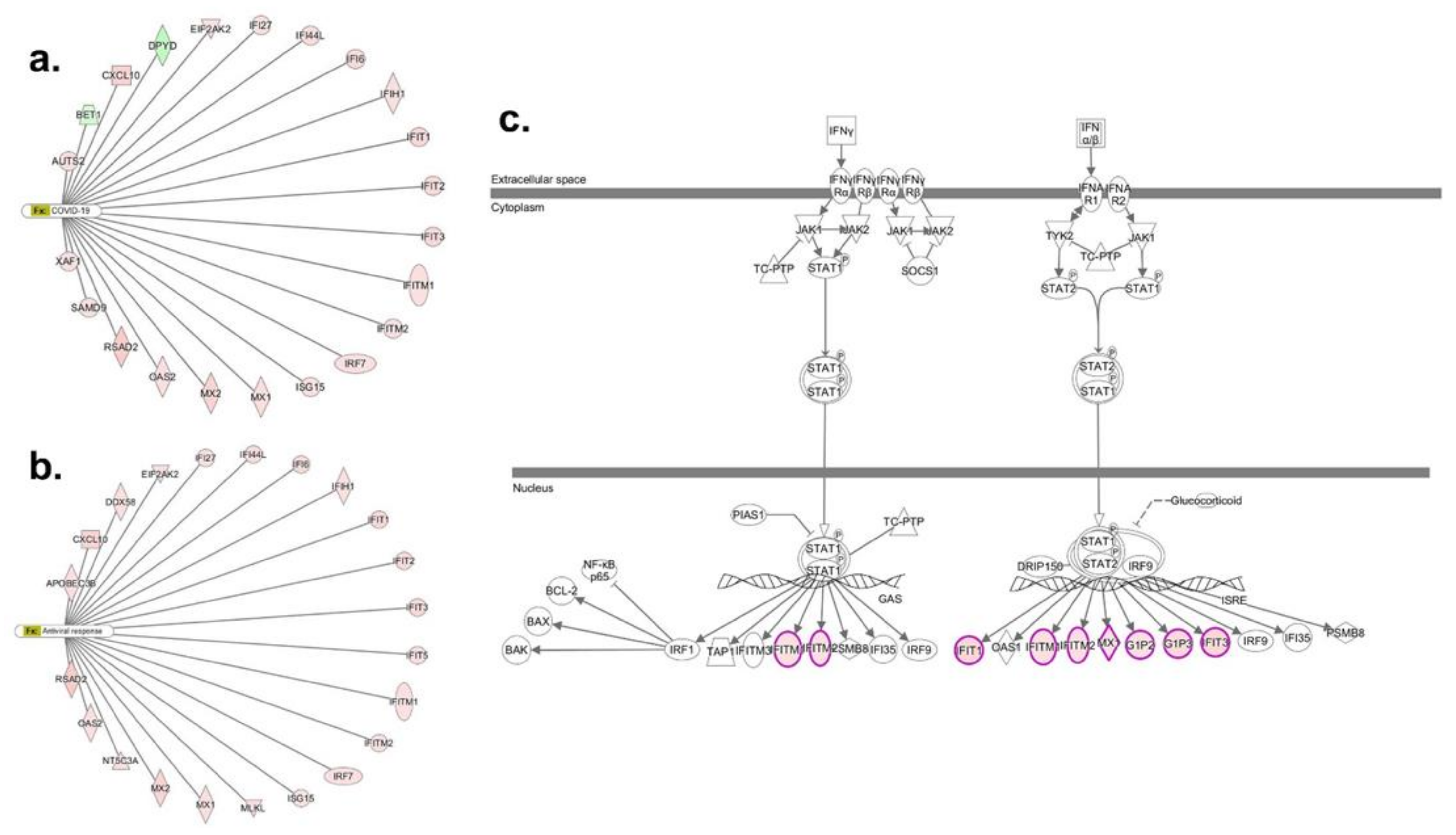 Viruses 13 02537 g005 550